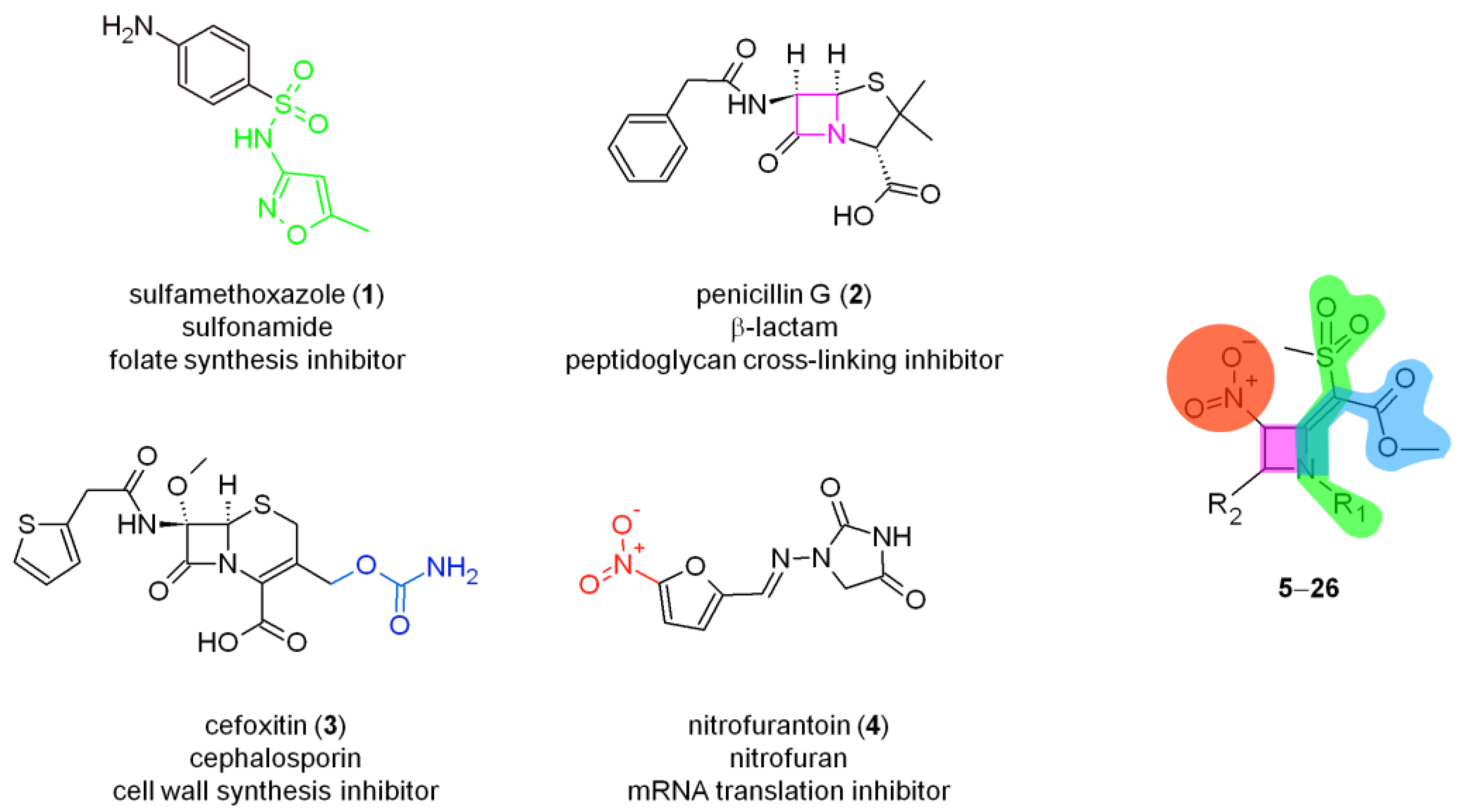 Molecules 26 03891 g002