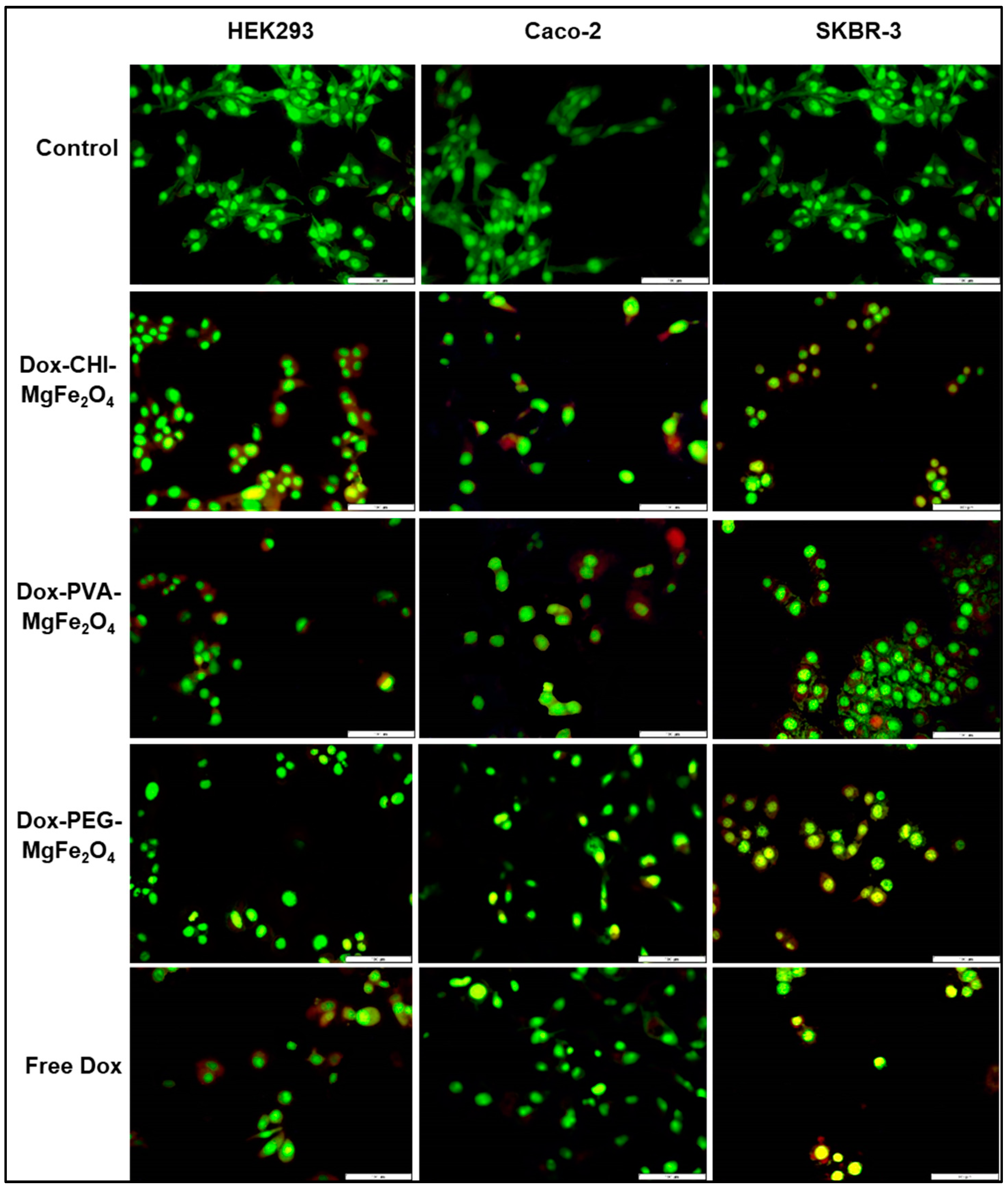 Molecules 26 03893 g008
