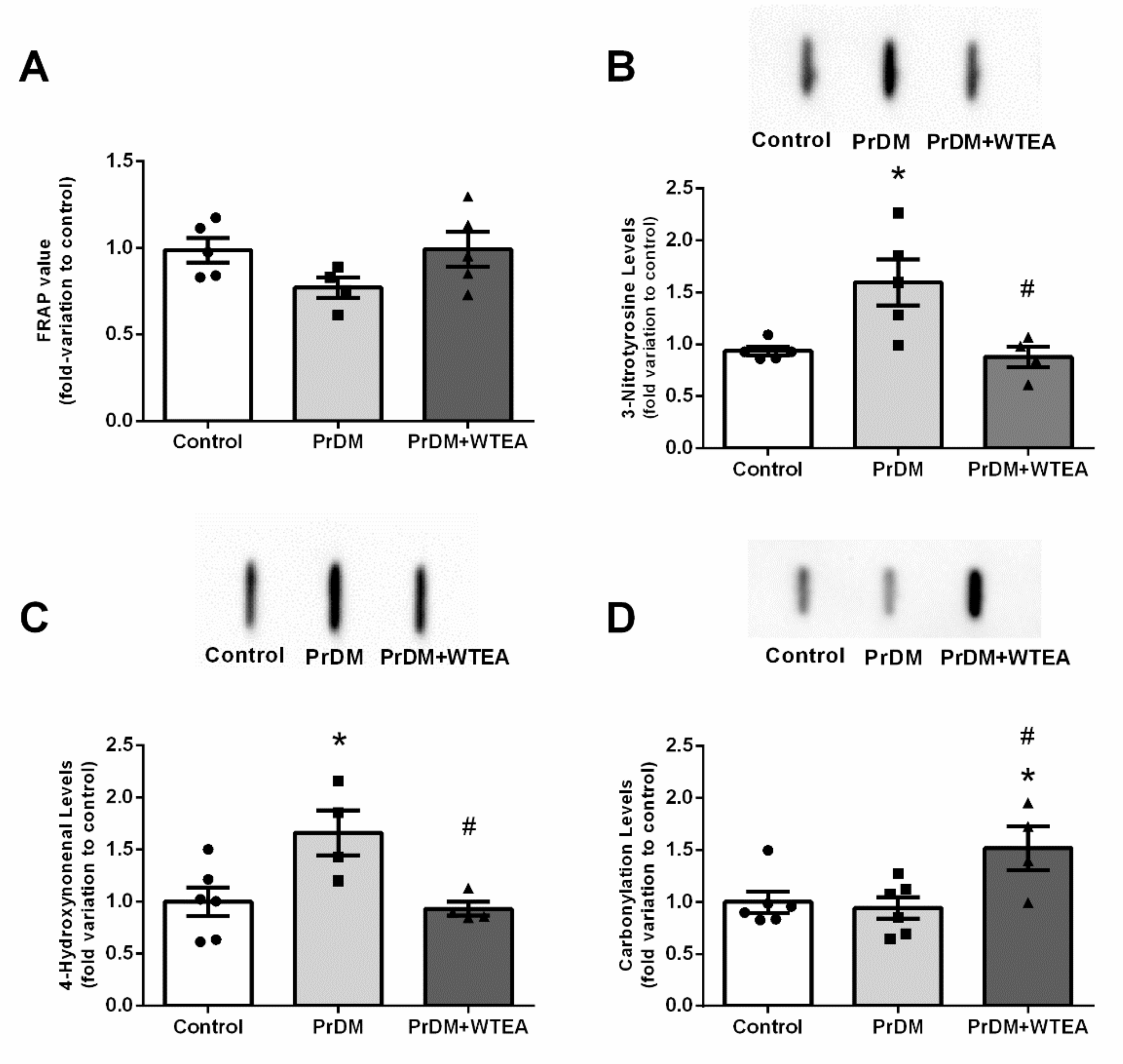 Molecules 26 03894 g003