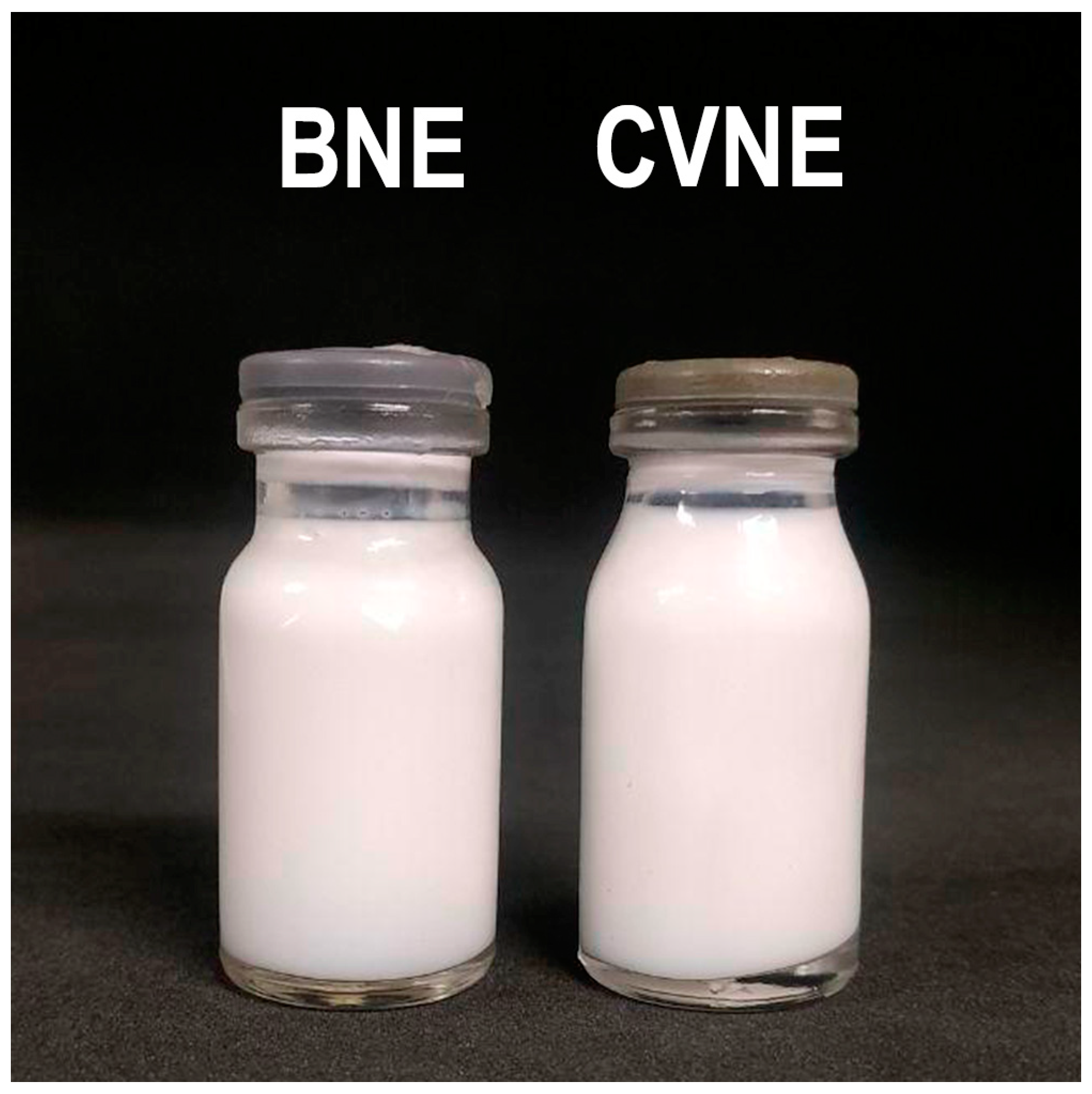 Molecules 26 03899 g001