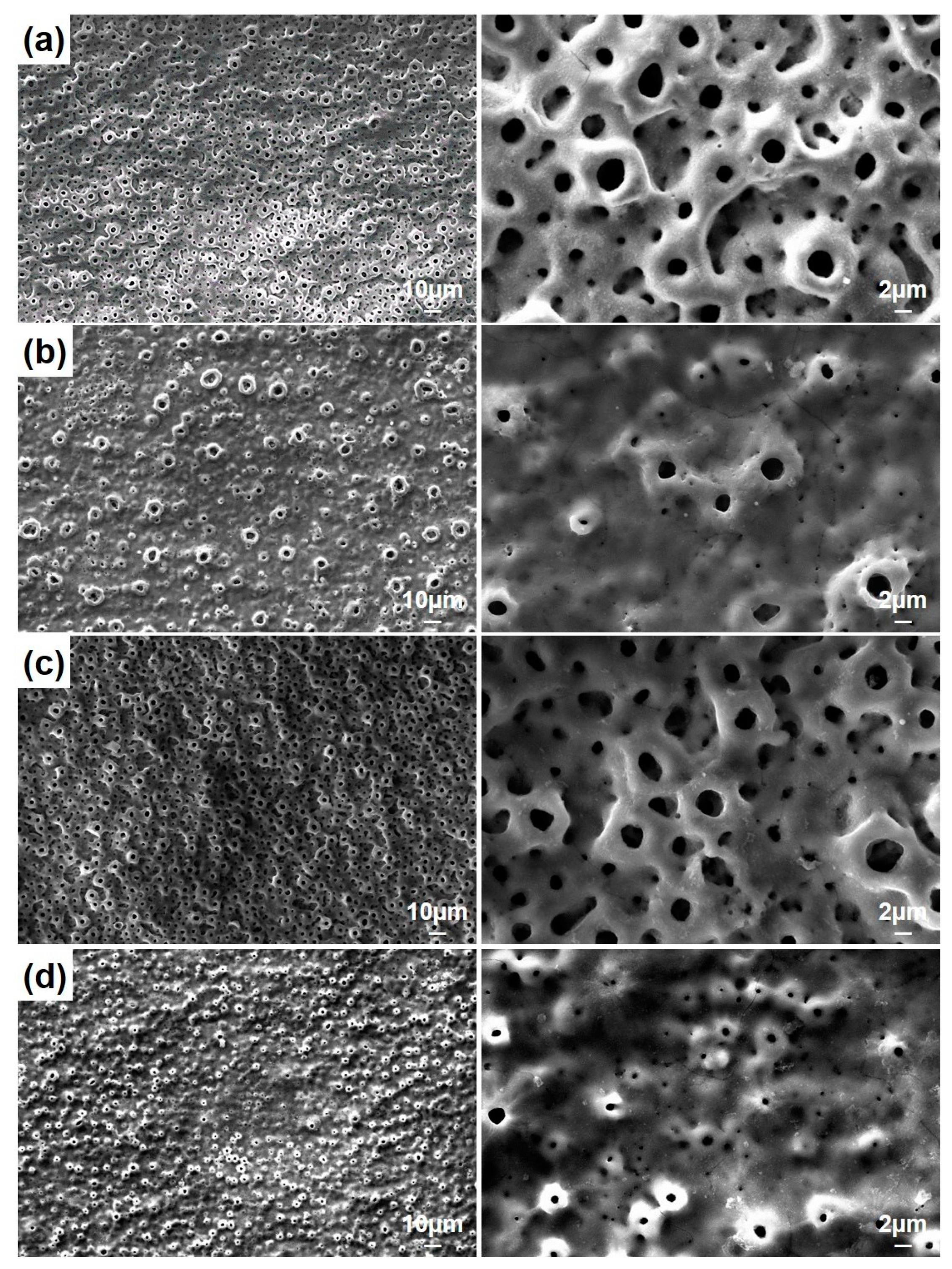 Molecules 26 03903 g003 Molecules 26 03903 g003