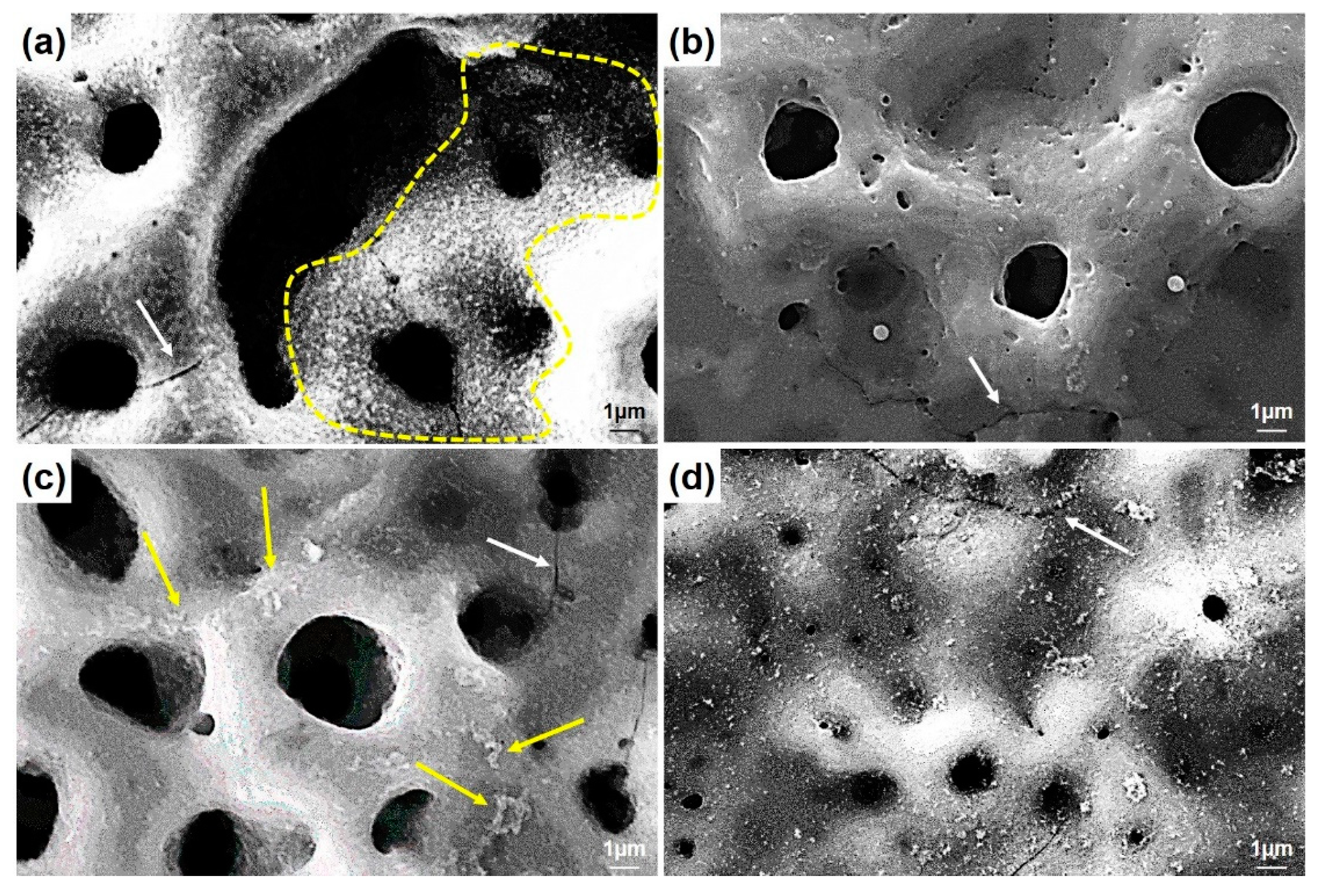 Molecules 26 03903 g004 Molecules 26 03903 g004