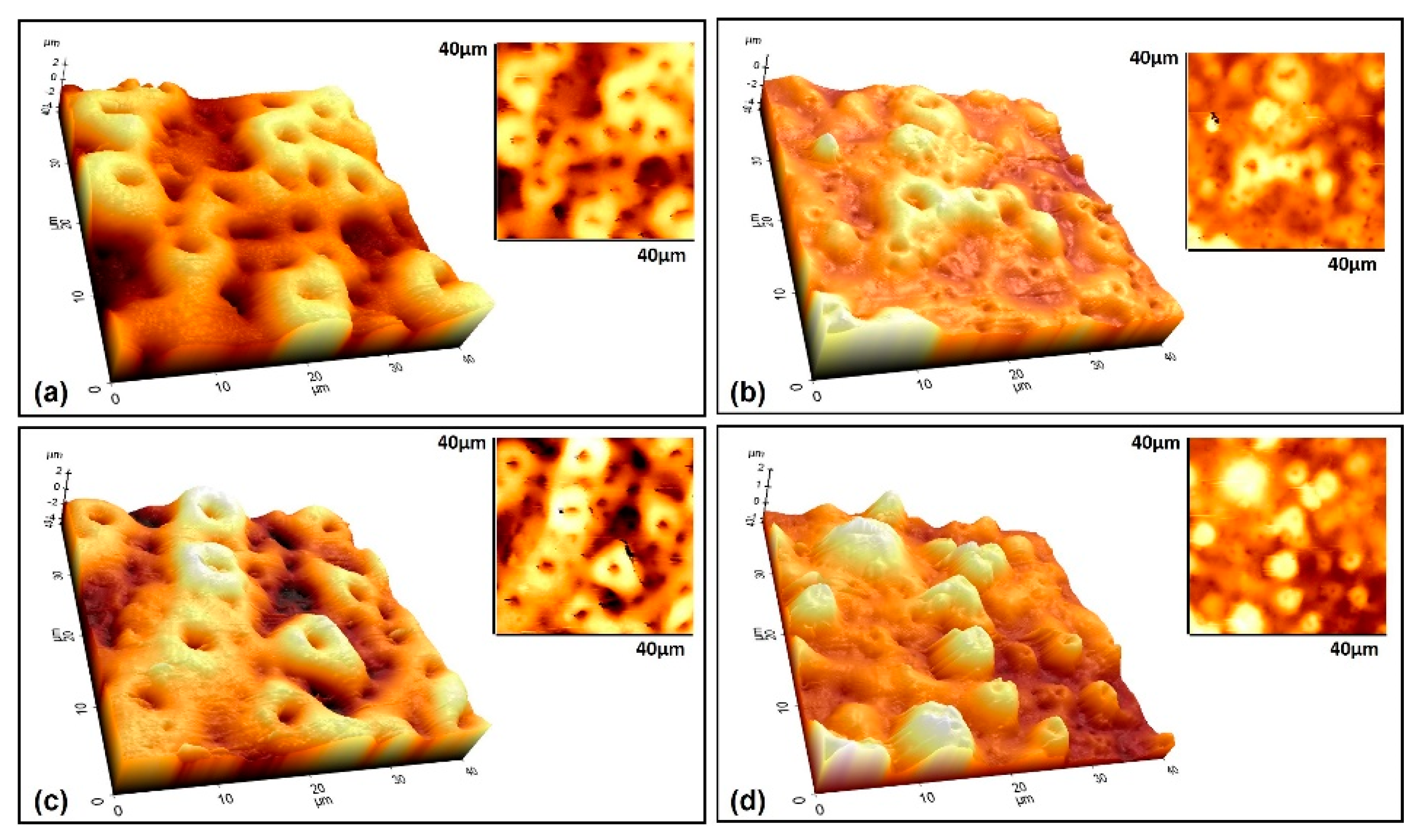 Molecules 26 03903 g007 Molecules 26 03903 g007