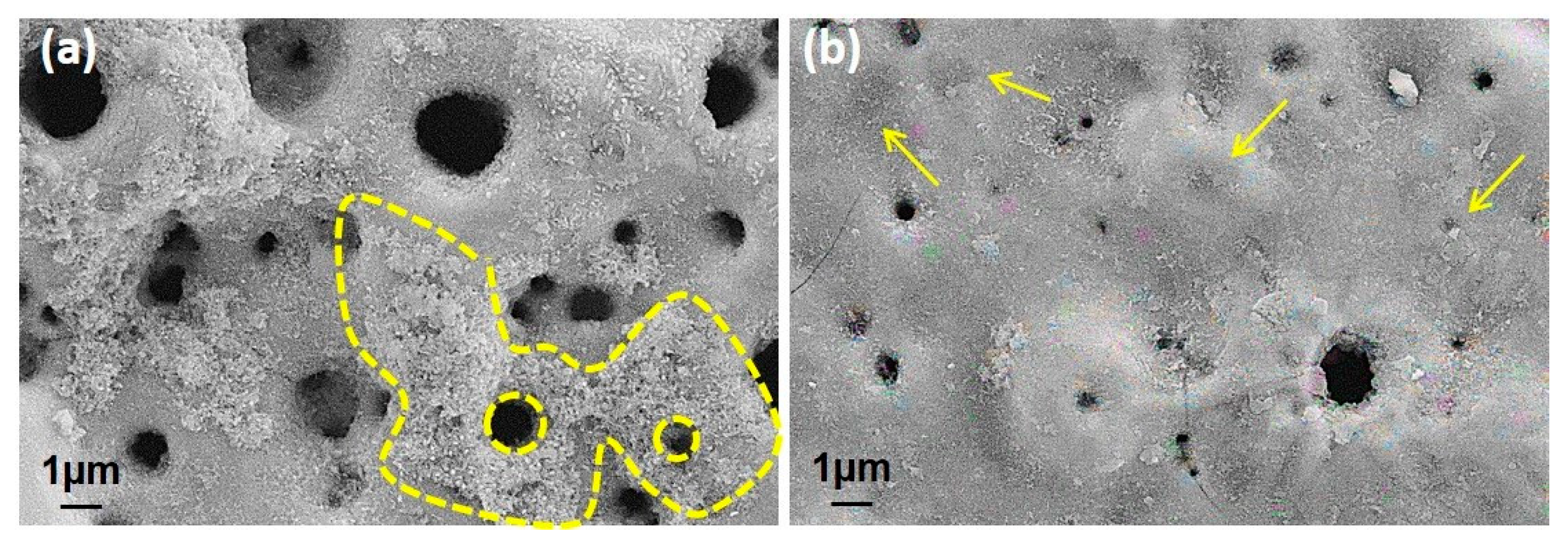 Molecules 26 03903 g010 Molecules 26 03903 g010