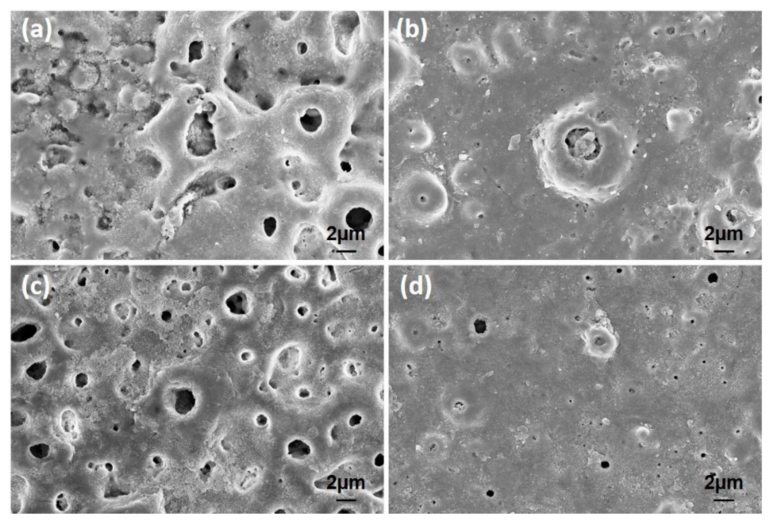 Molecules 26 03903 g011 Molecules 26 03903 g011