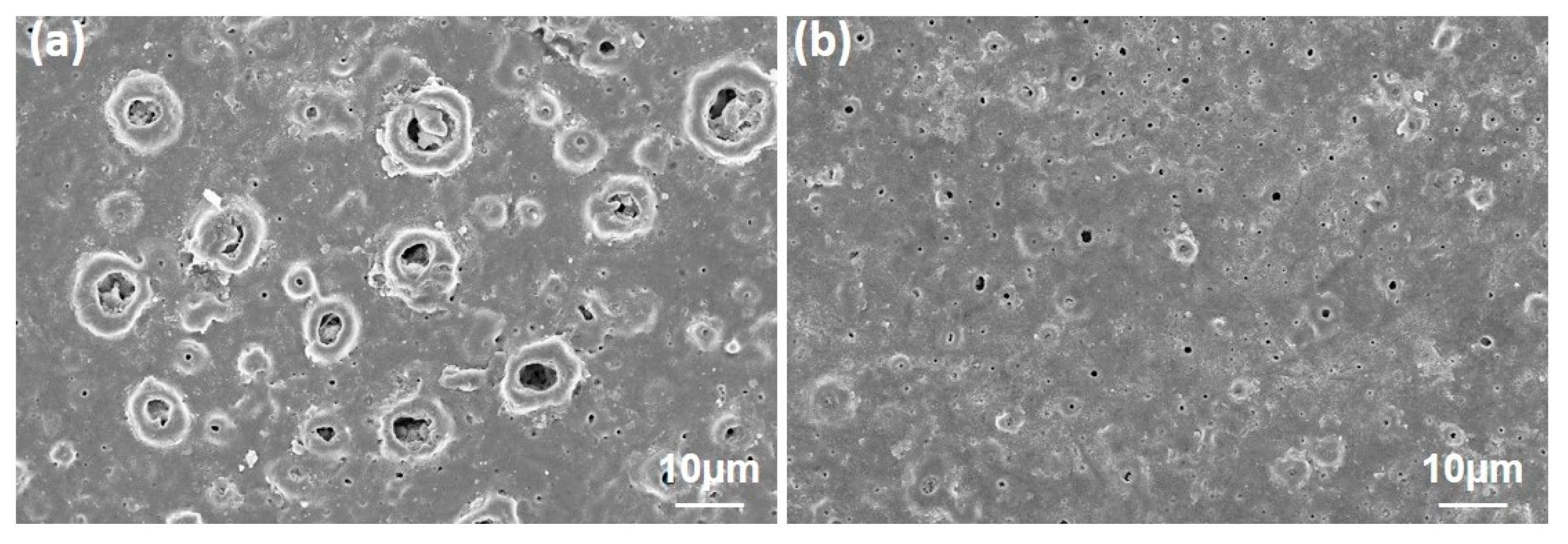 Molecules 26 03903 g012 Molecules 26 03903 g012