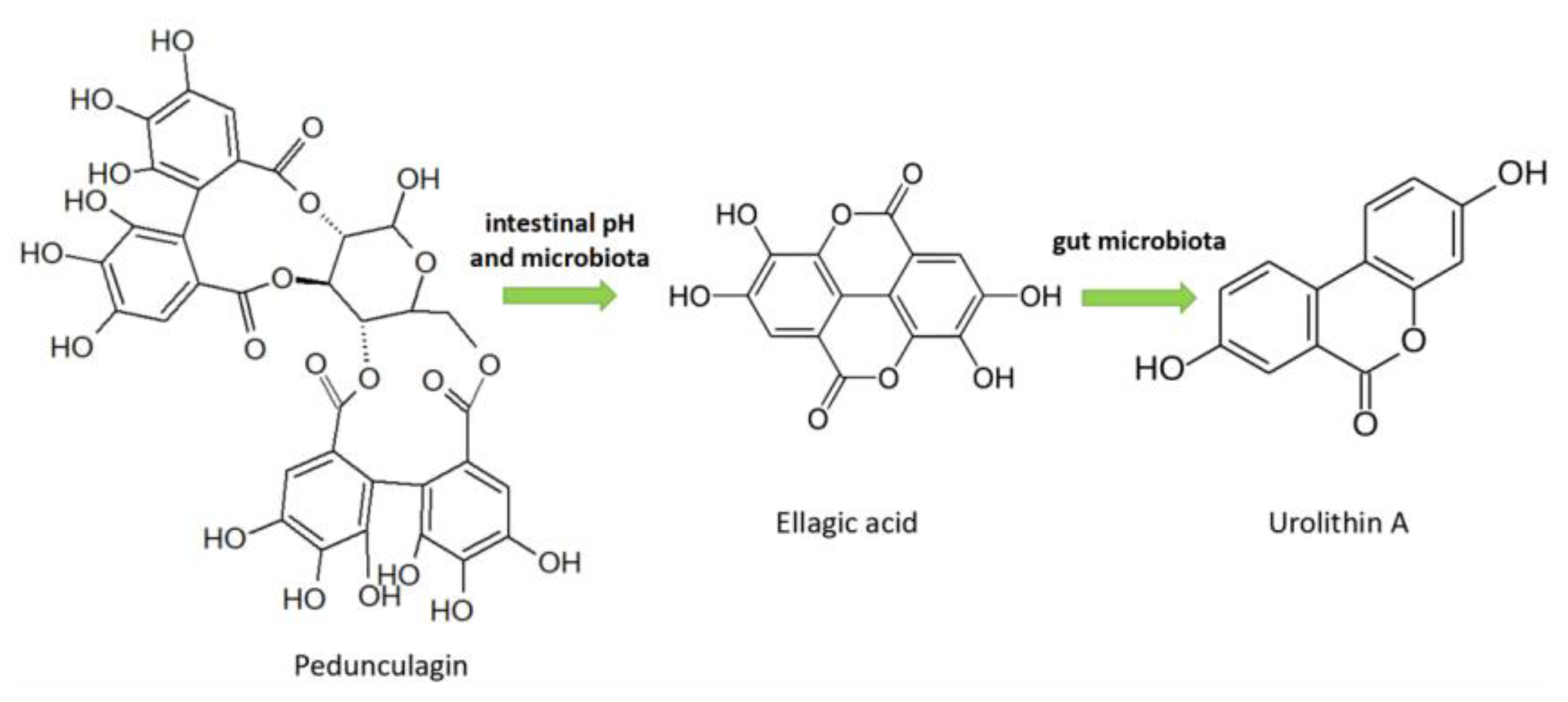 Molecules 26 03904 g004 550