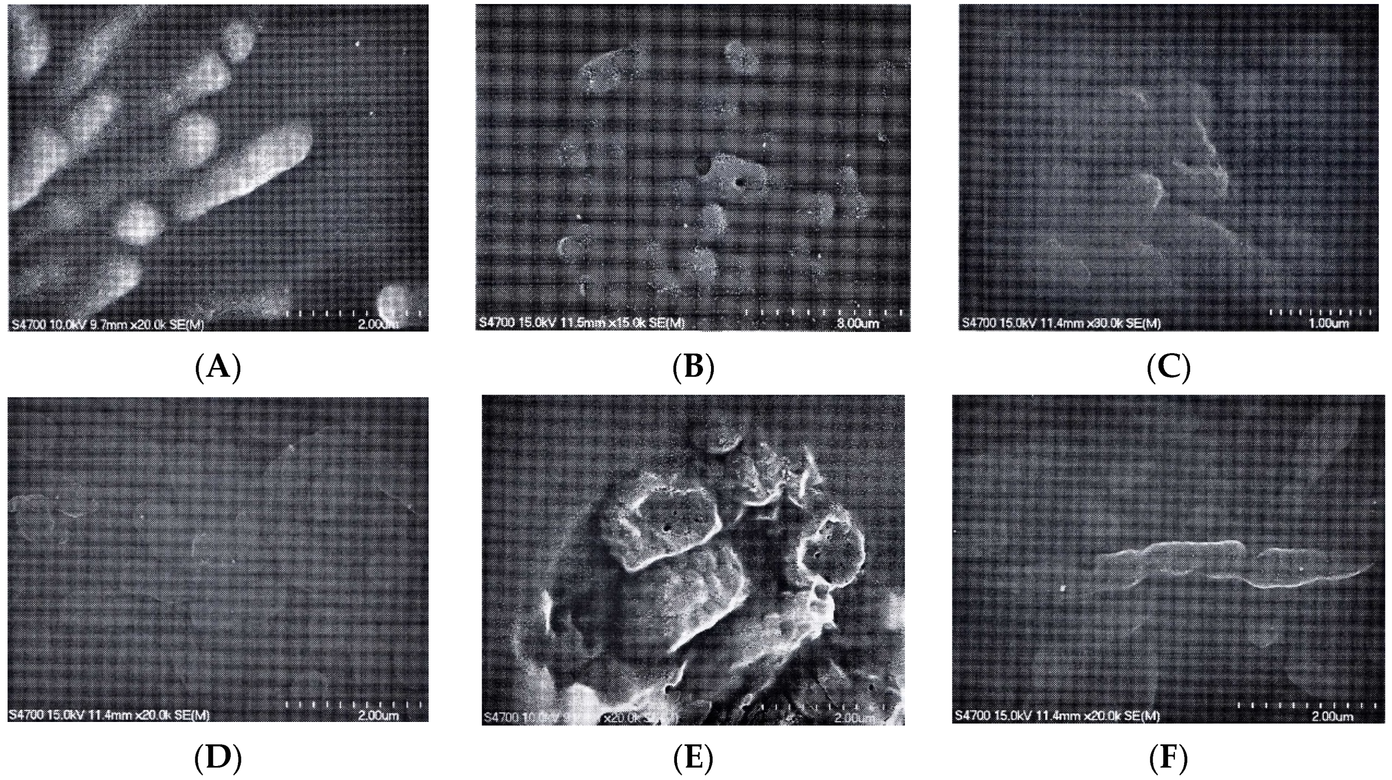 Molecules 26 03909 g003a Molecules 26 03909 g003a