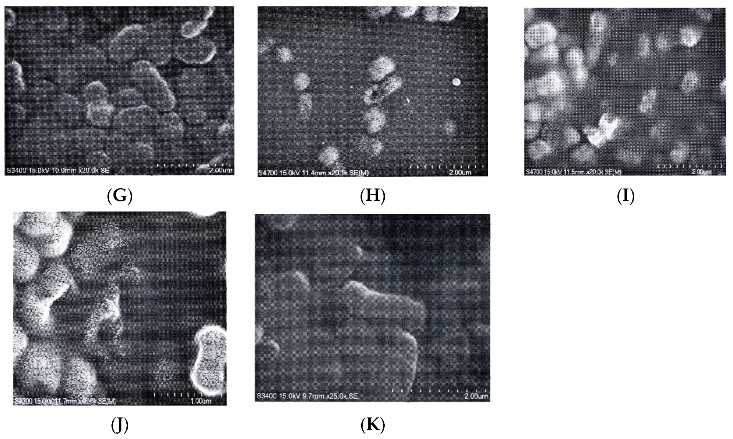 Molecules 26 03909 g003b Molecules 26 03909 g003b