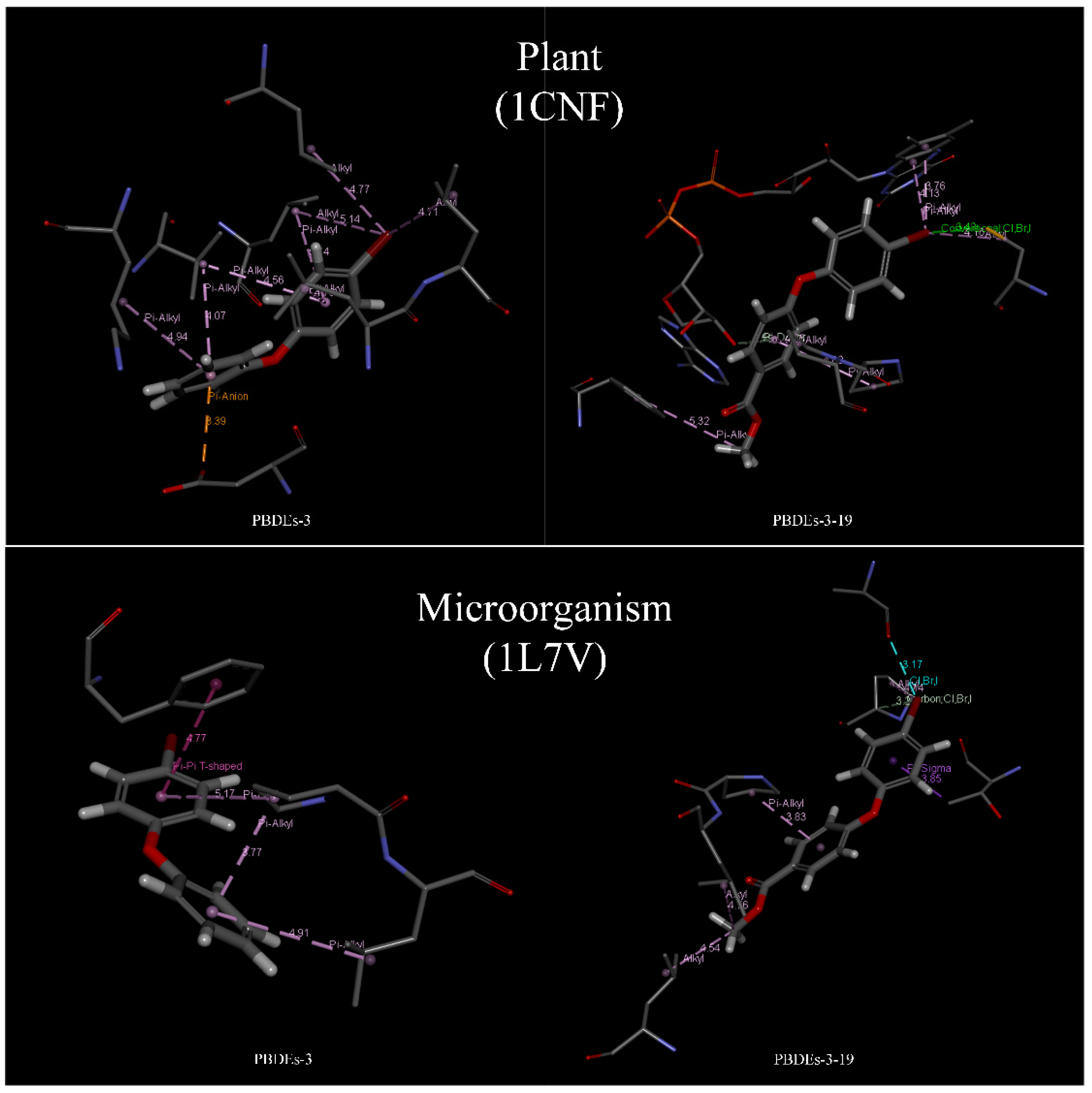 Molecules 26 03911 g005
