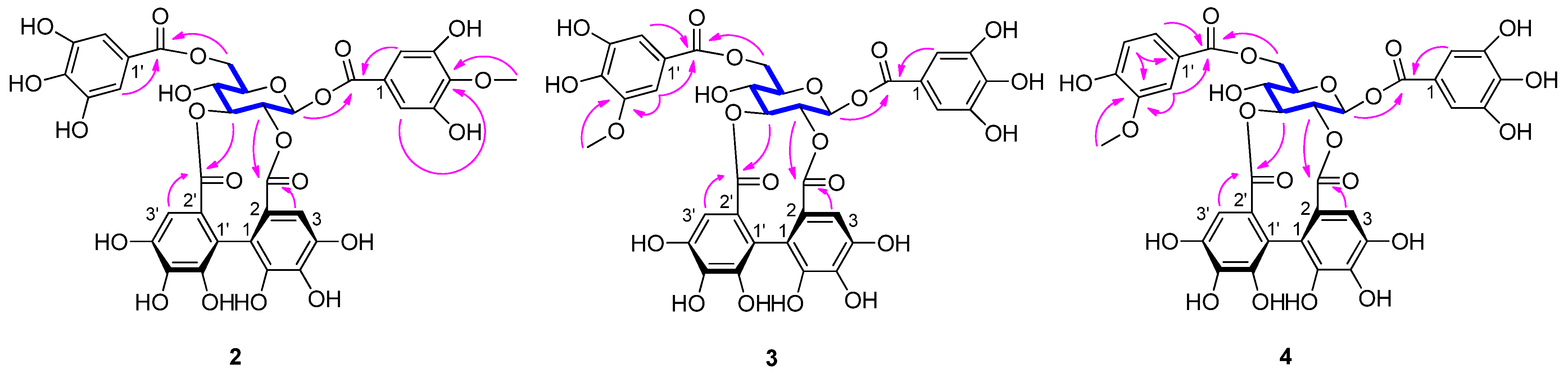 Molecules 26 03913 g002