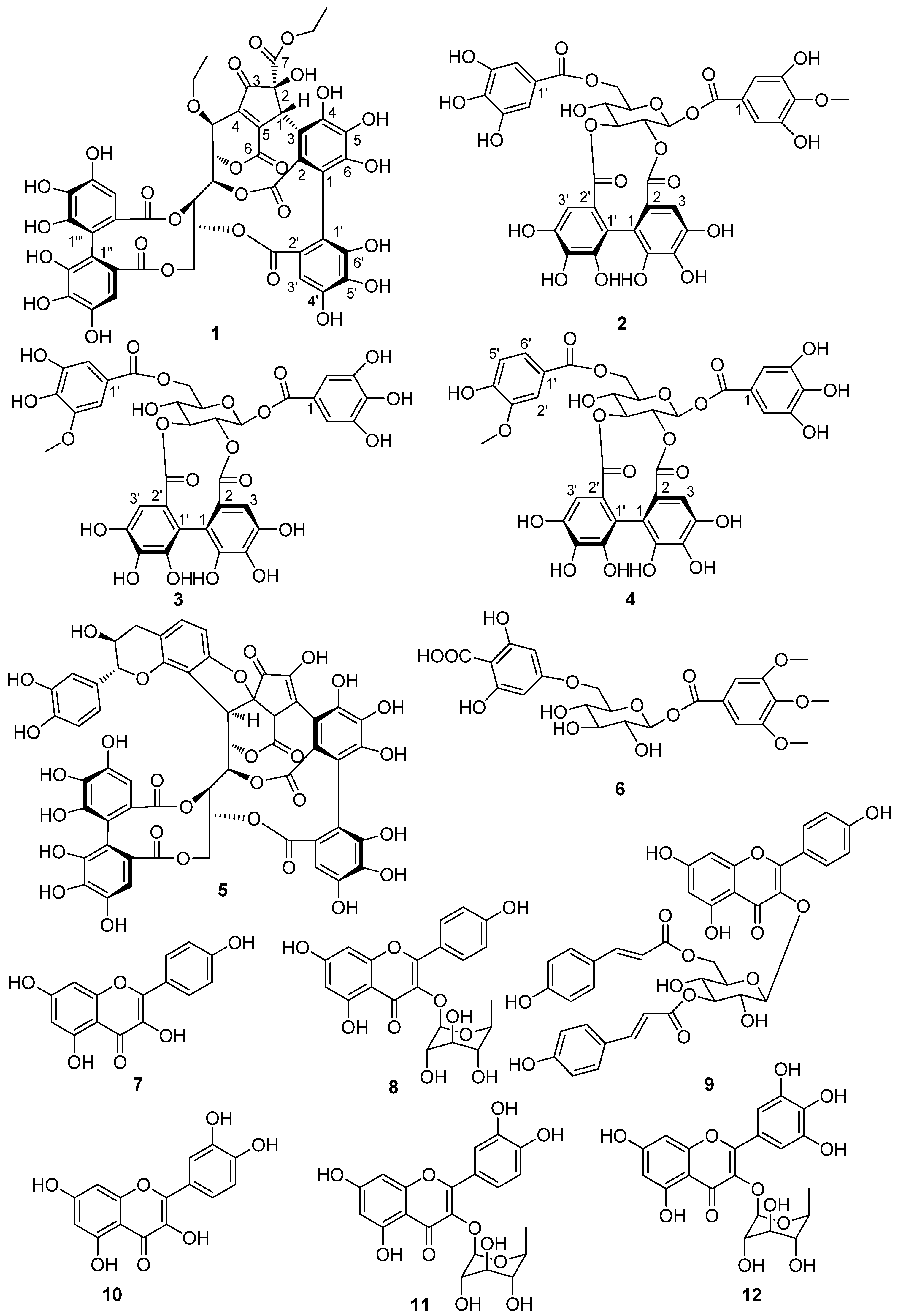 Molecules 26 03913 sch001