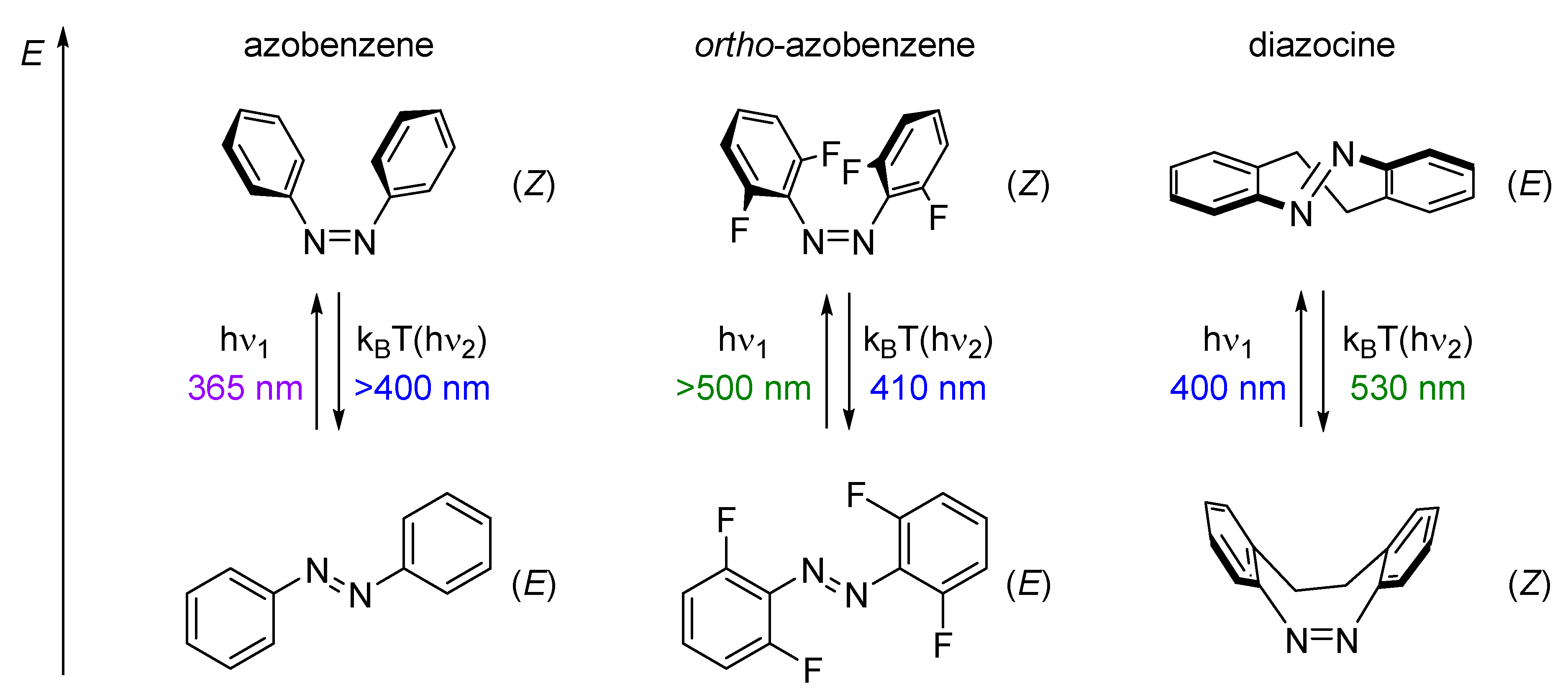 Molecules 26 03916 g001