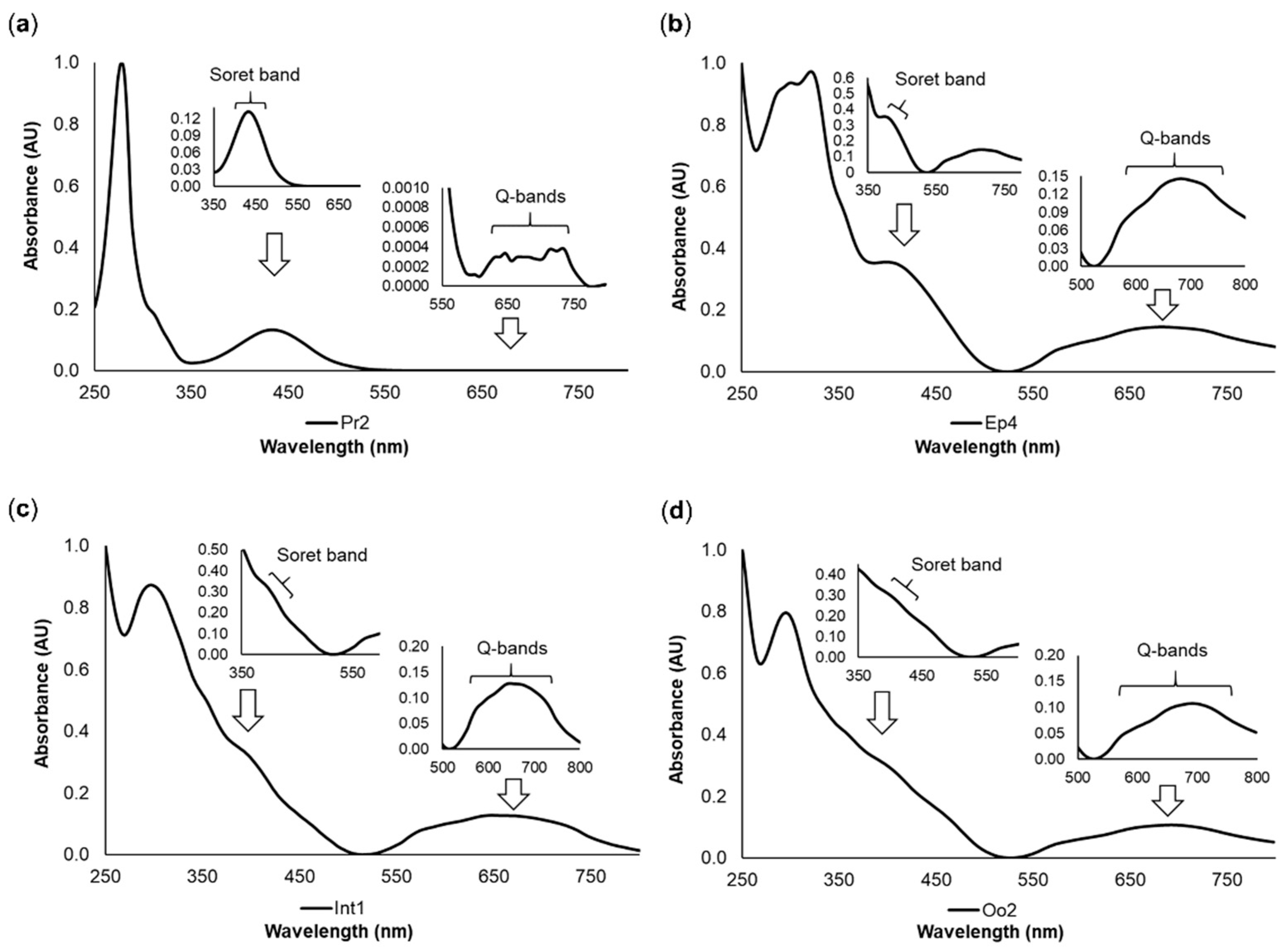 Molecules 26 03924 g003