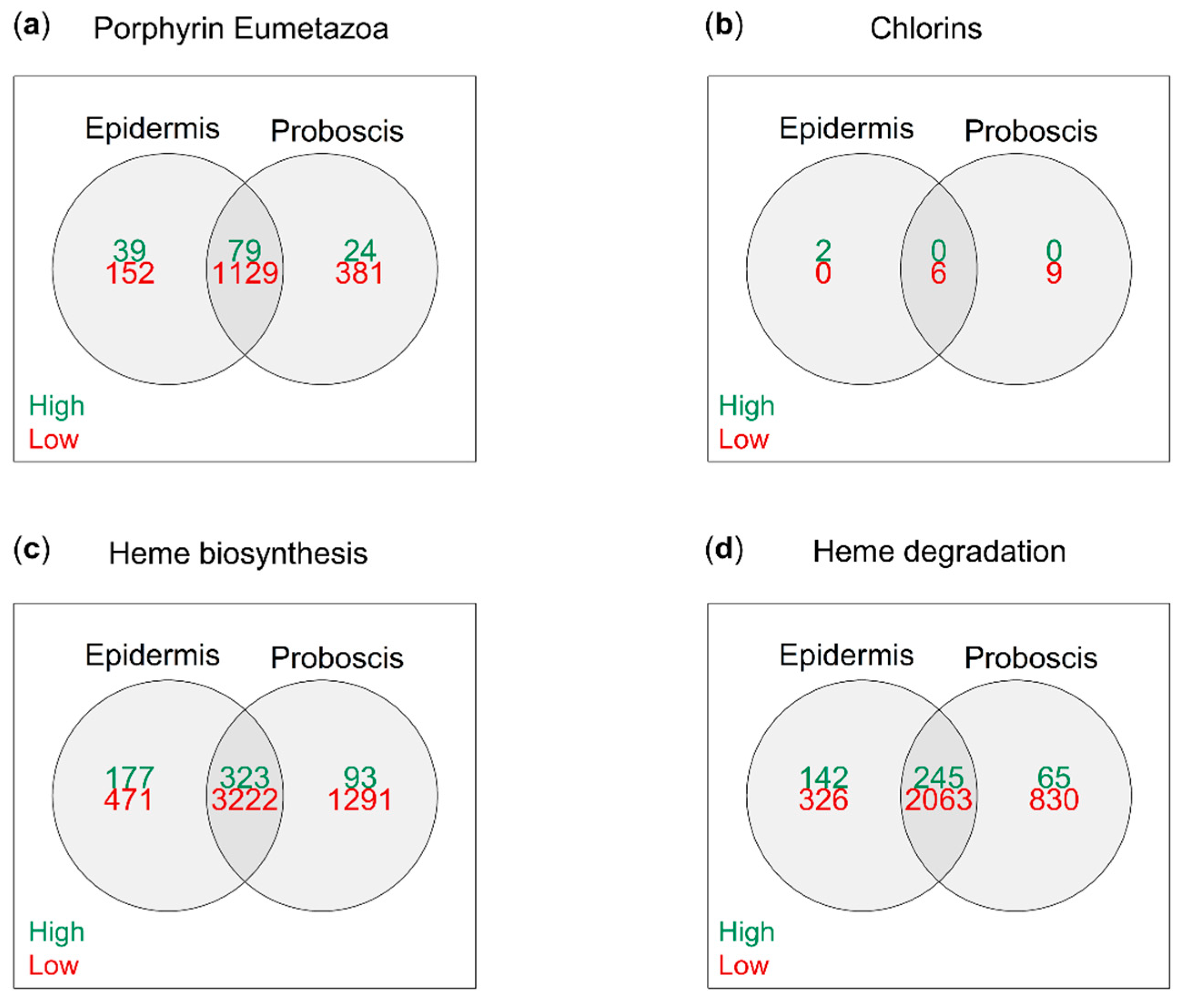 Molecules 26 03924 g004