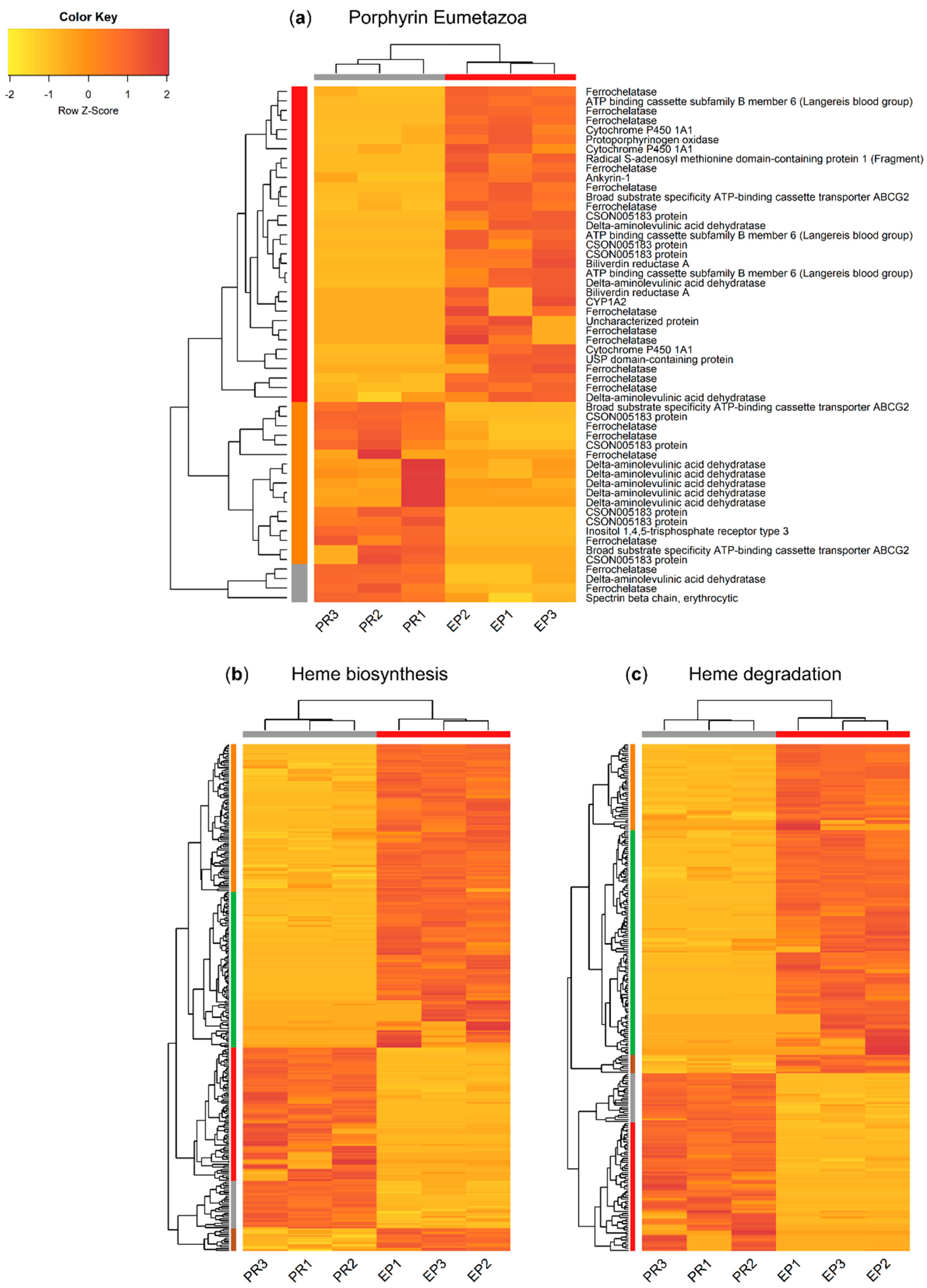 Molecules 26 03924 g005