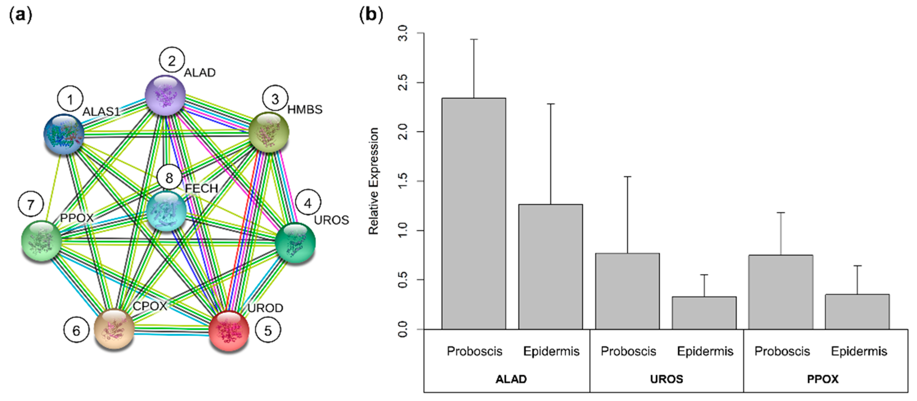 Molecules 26 03924 g006