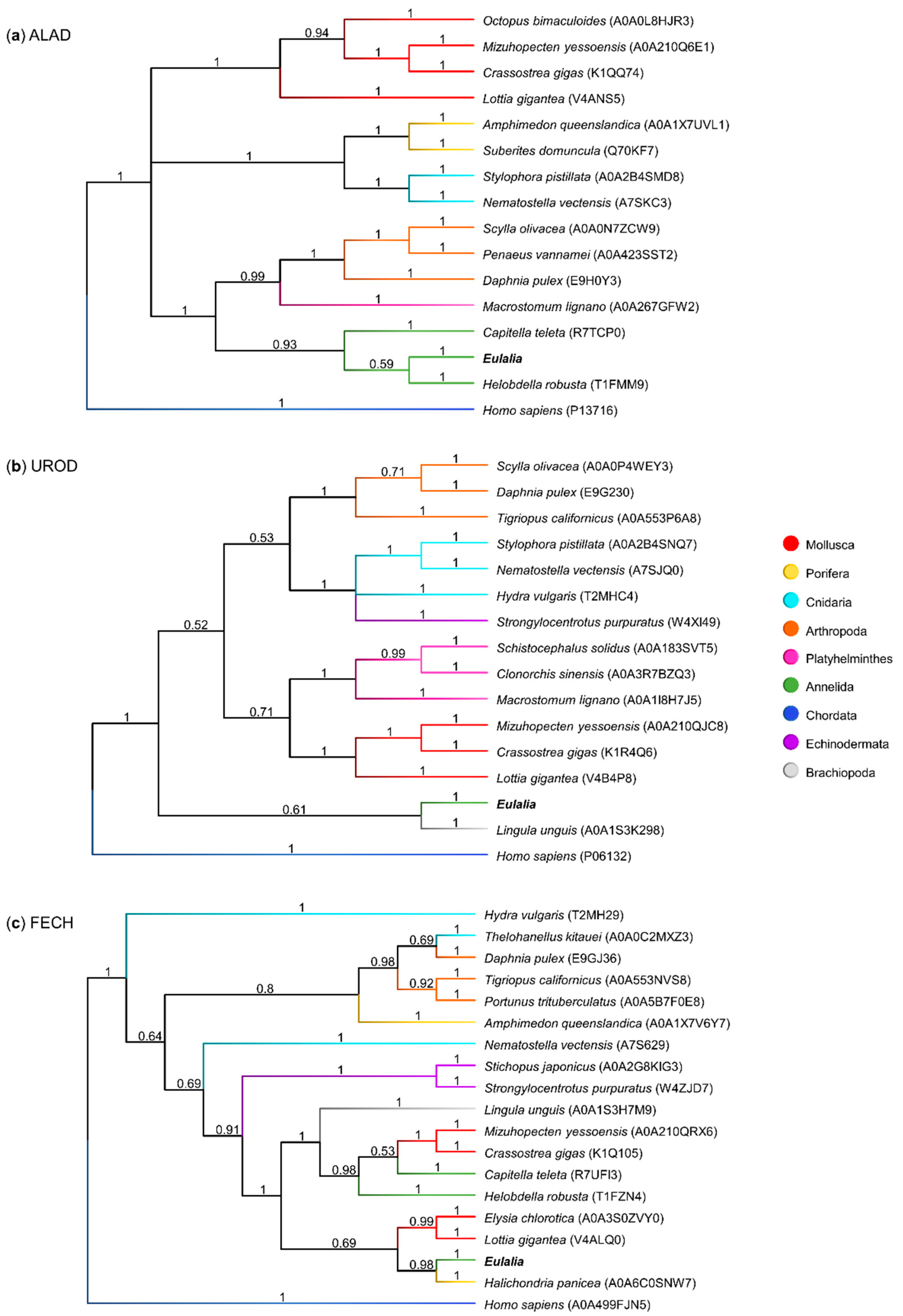 Molecules 26 03924 g008