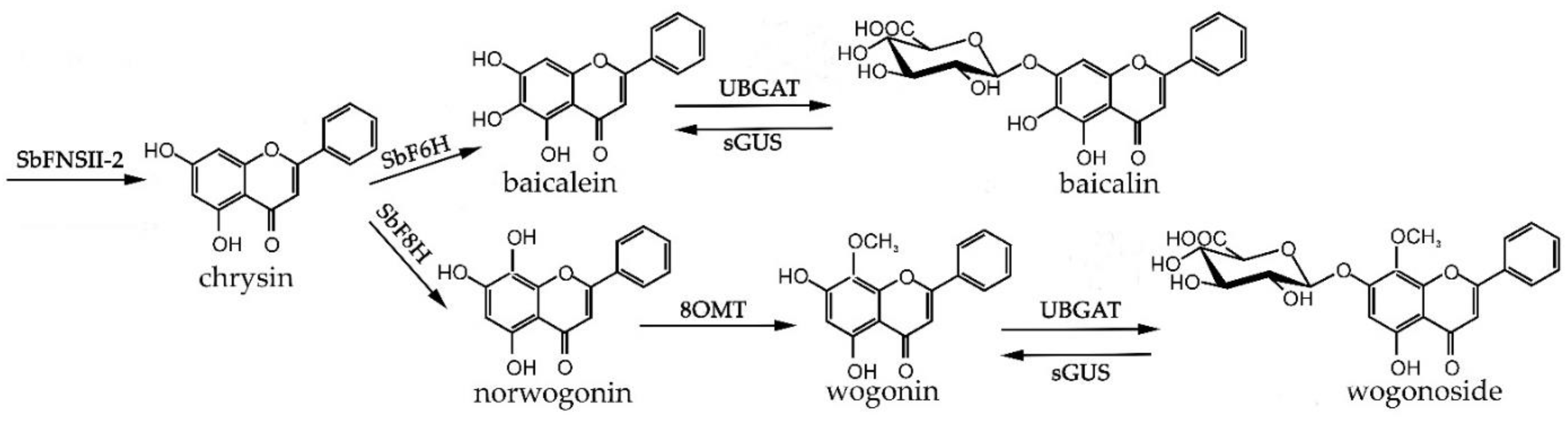 Molecules 26 03927 g003