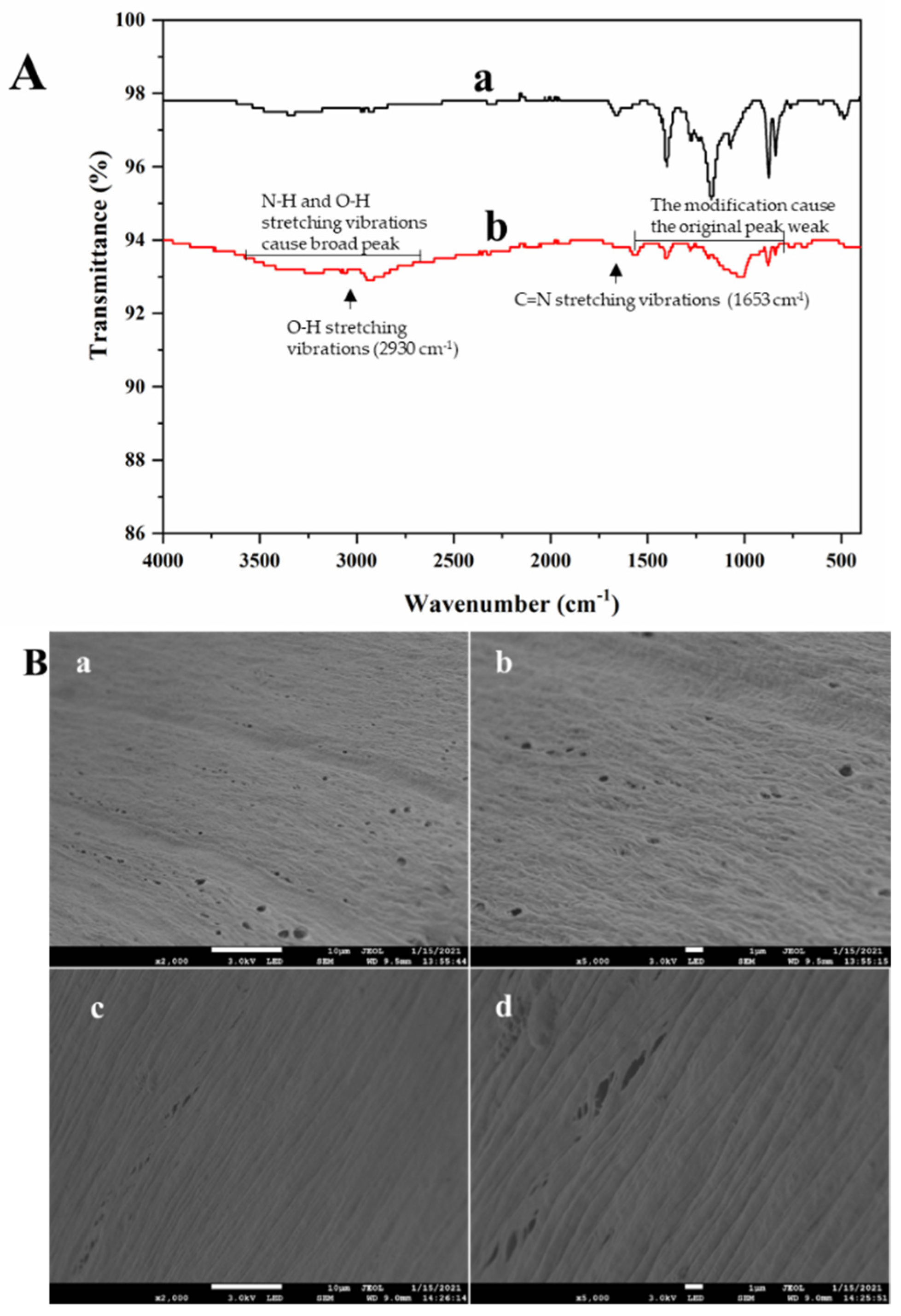 Molecules 26 03931 g001 550