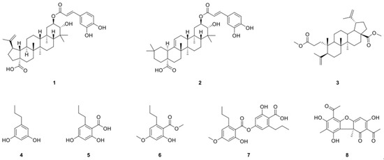 Anticancer Activity of 2-O-caffeoyl Alphitolic Acid