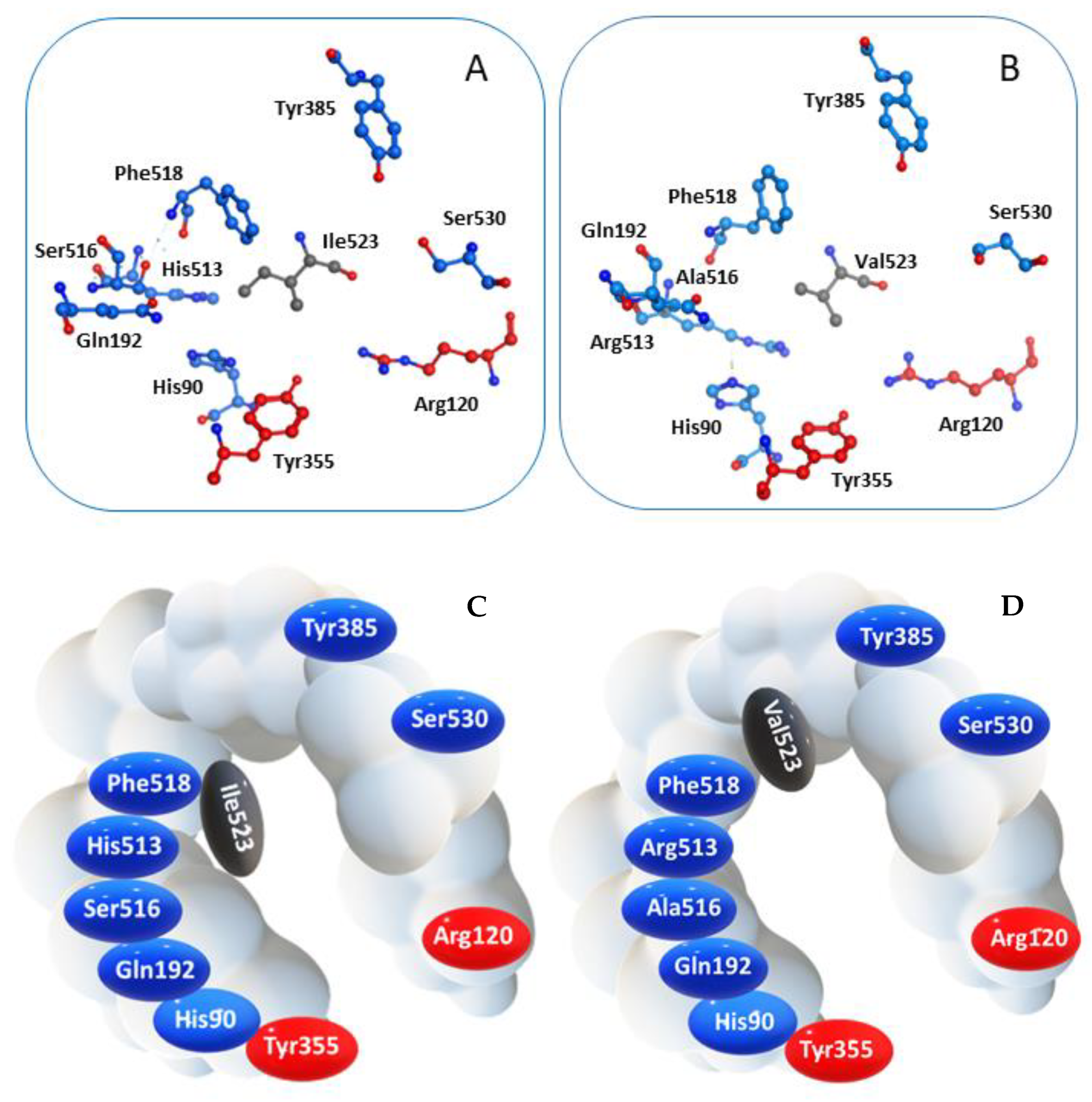 Molecules 26 03940 g002