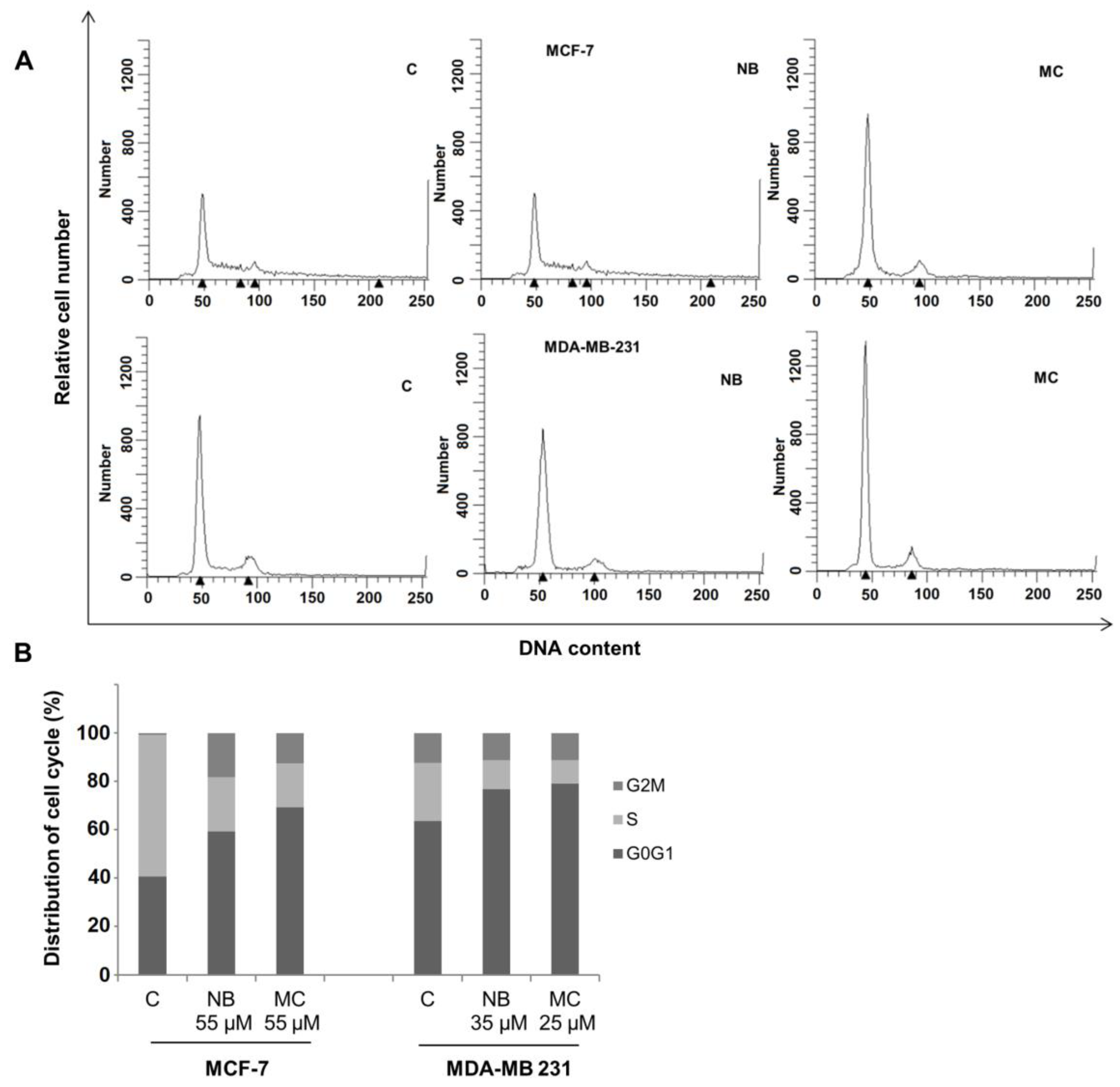 Molecules 26 03940 g010