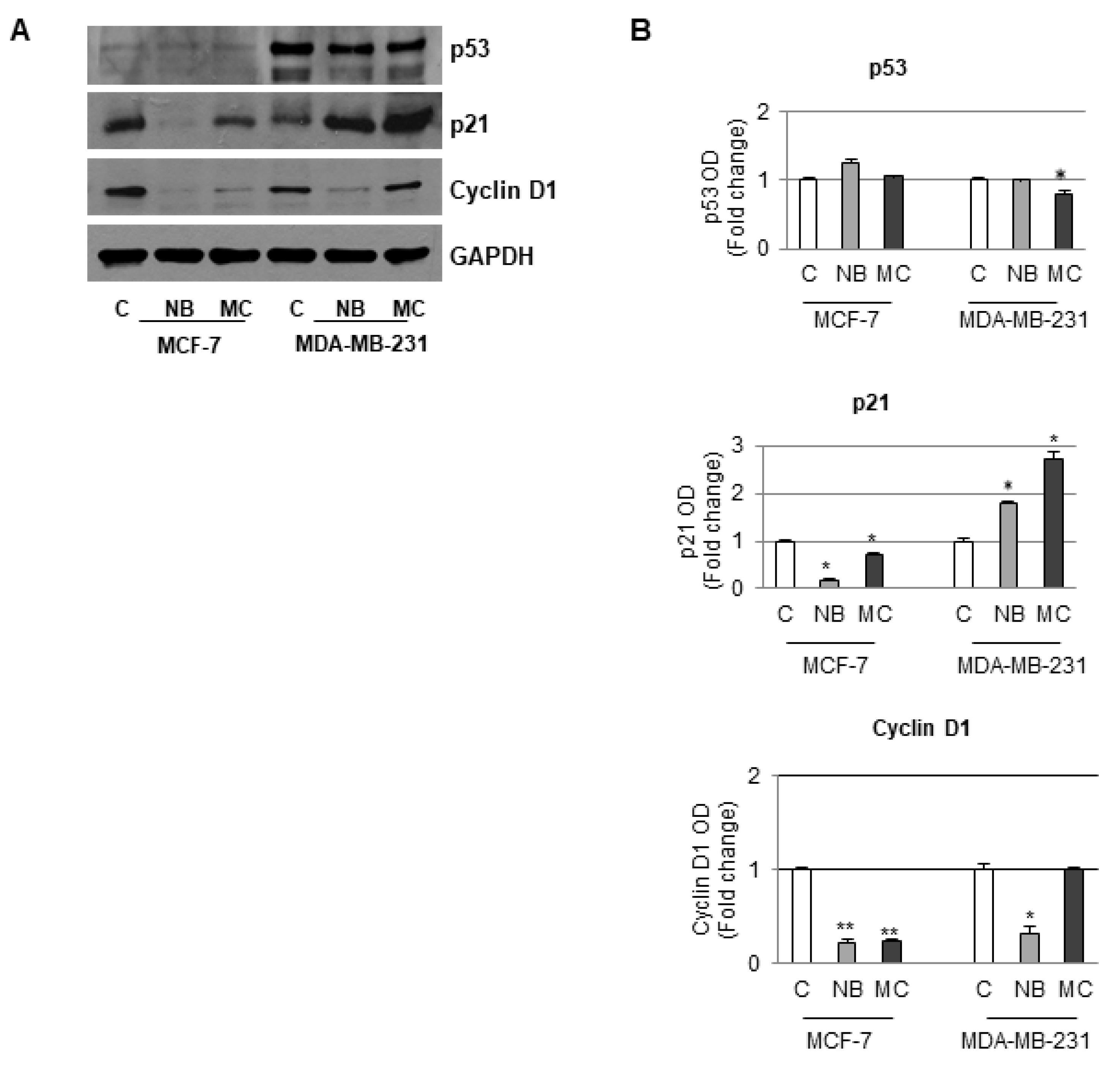 Molecules 26 03940 g011