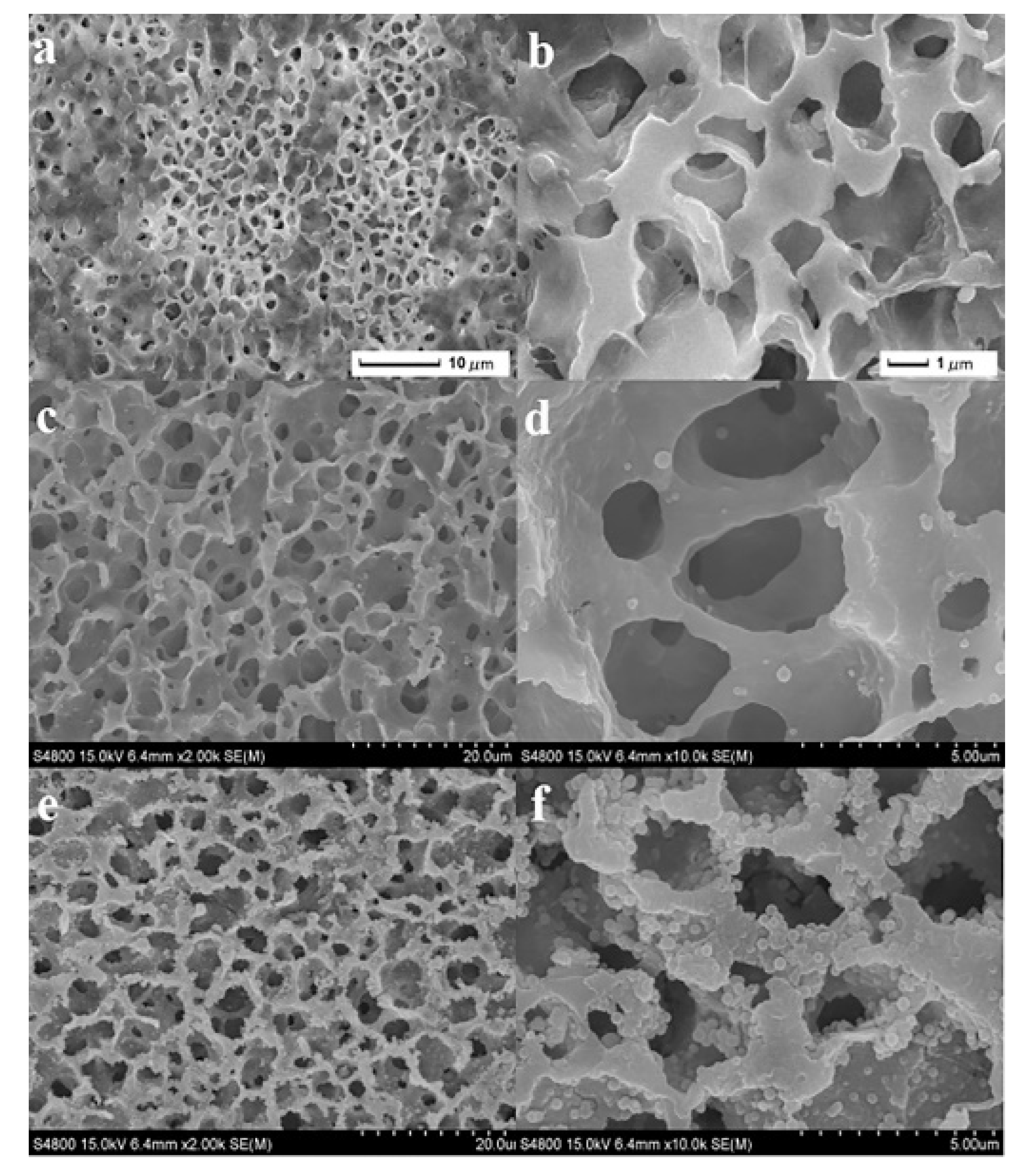 Molecules 26 03945 g001 550