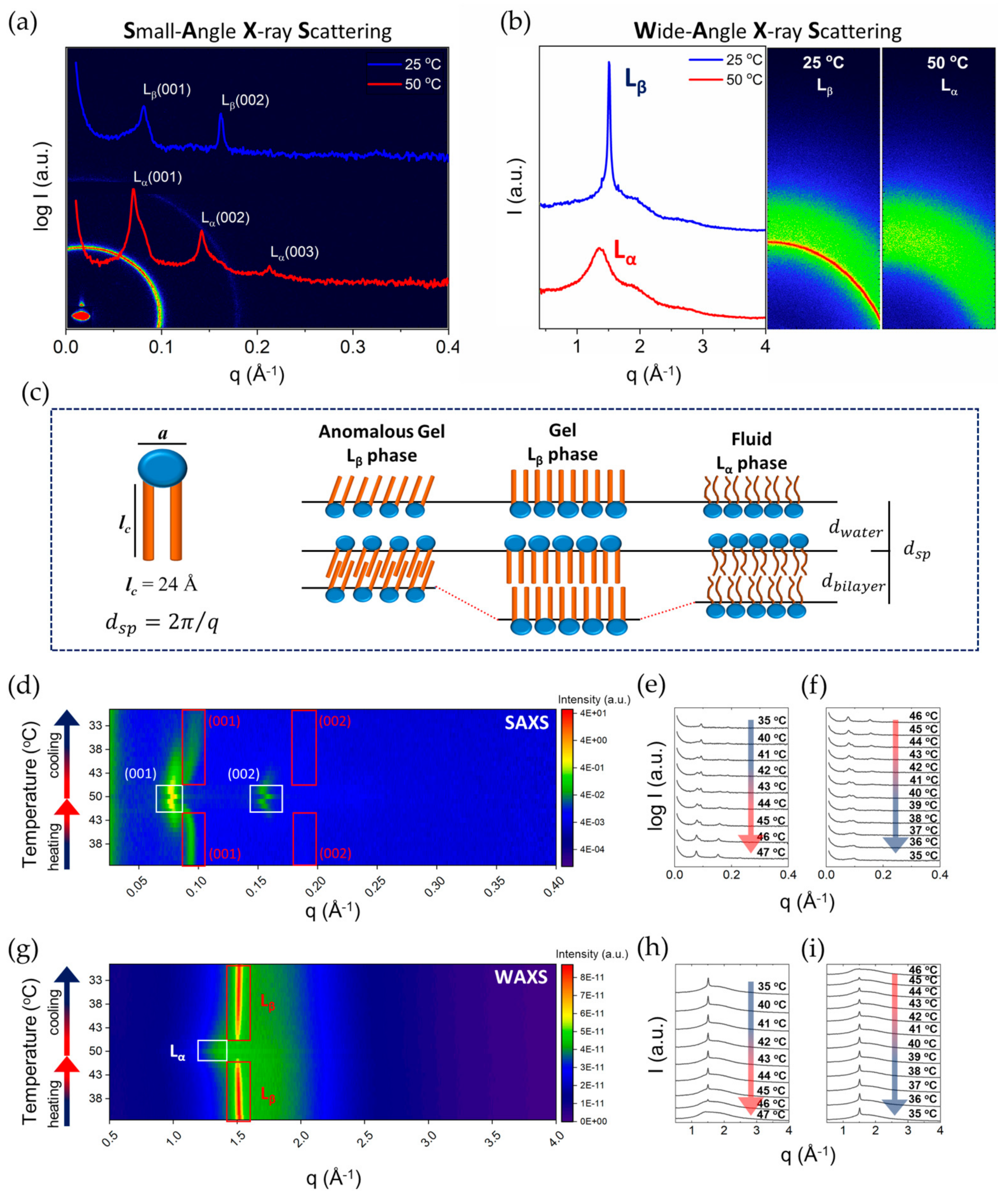 Molecules 26 03946 g002