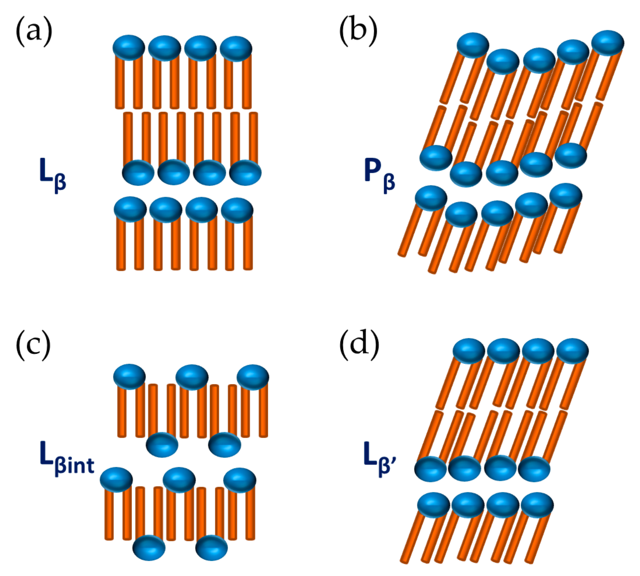 Molecules 26 03946 g003