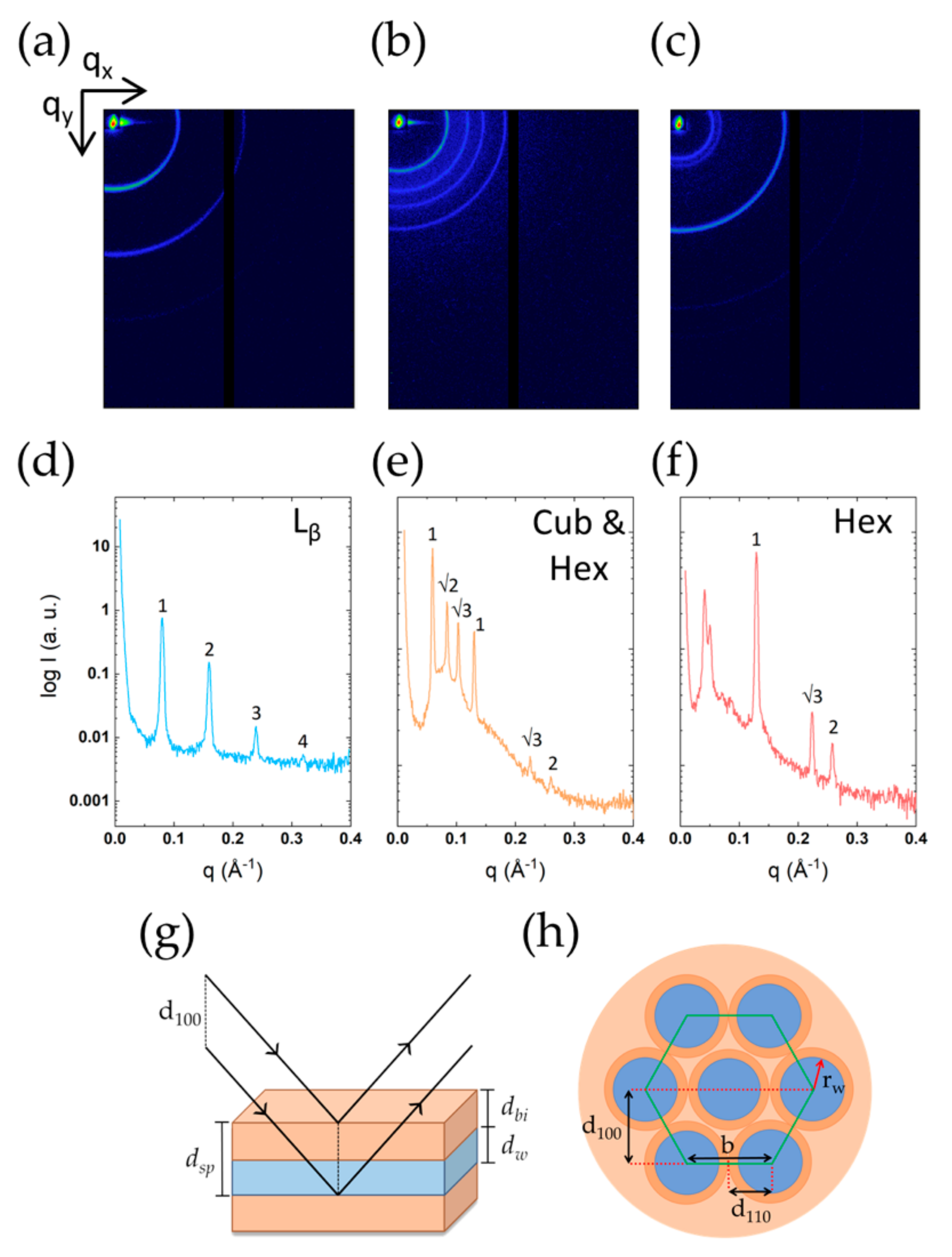 Molecules 26 03946 g013