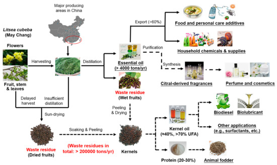 An Overview on Total Valorization of Litsea cubeba as a New