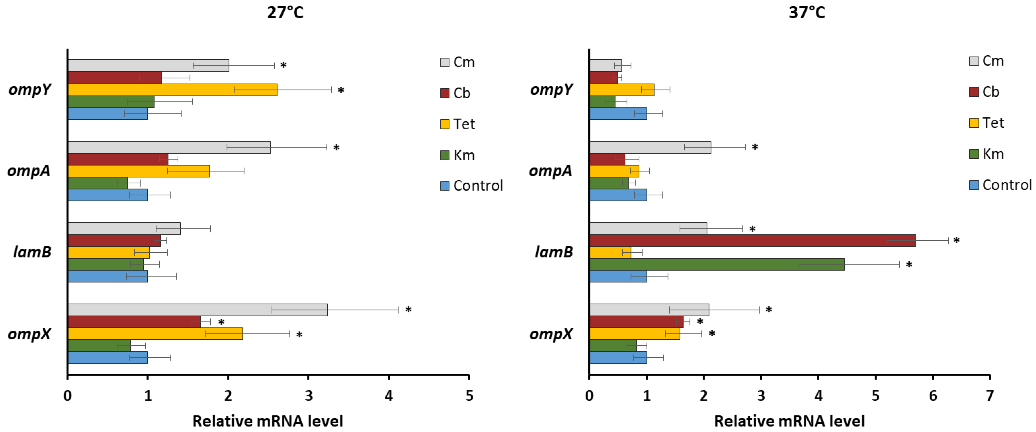 Molecules 26 03956 g004 Molecules 26 03956 g004