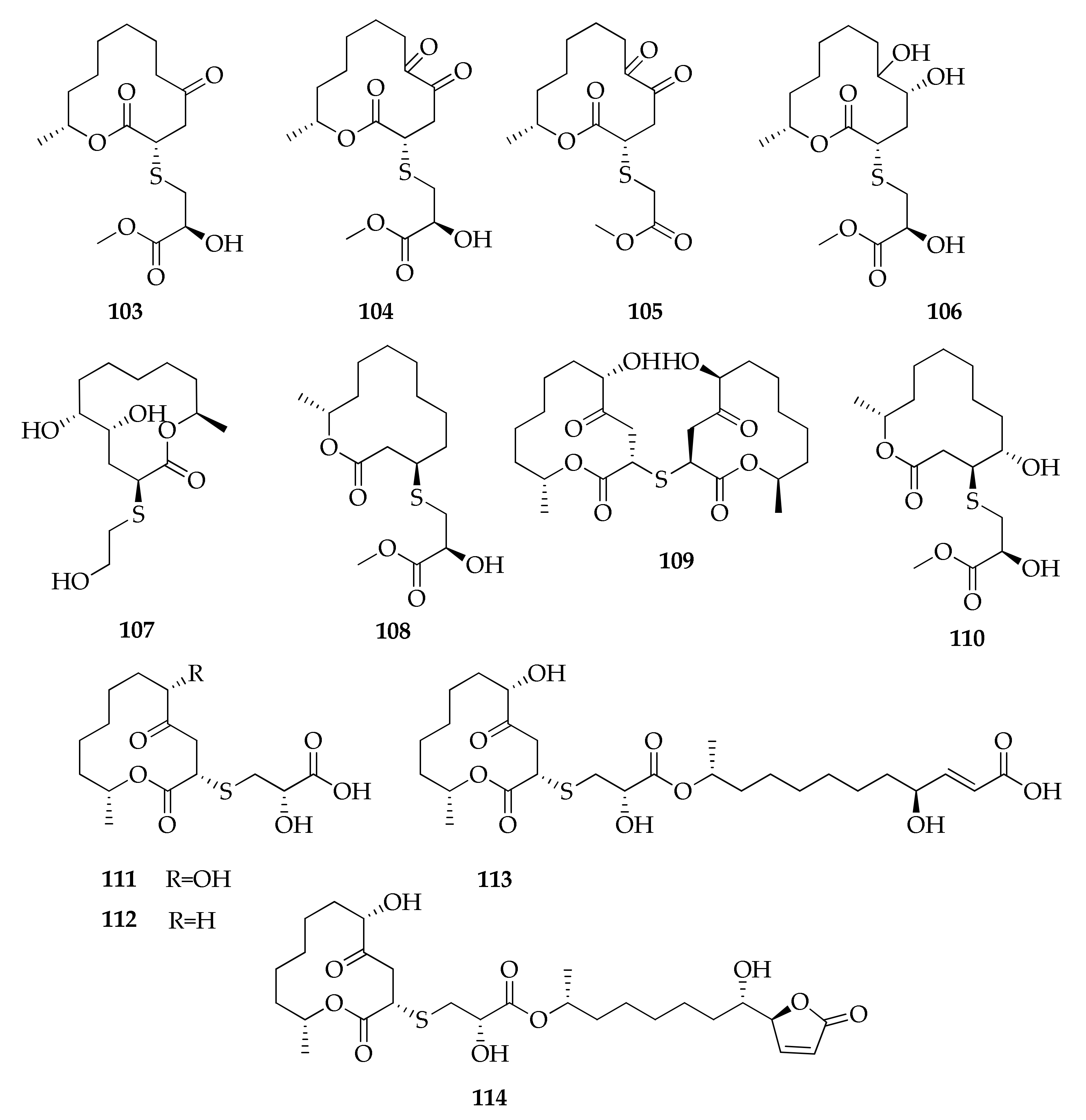Molecules 26 03959 g019 Molecules 26 03959 g019