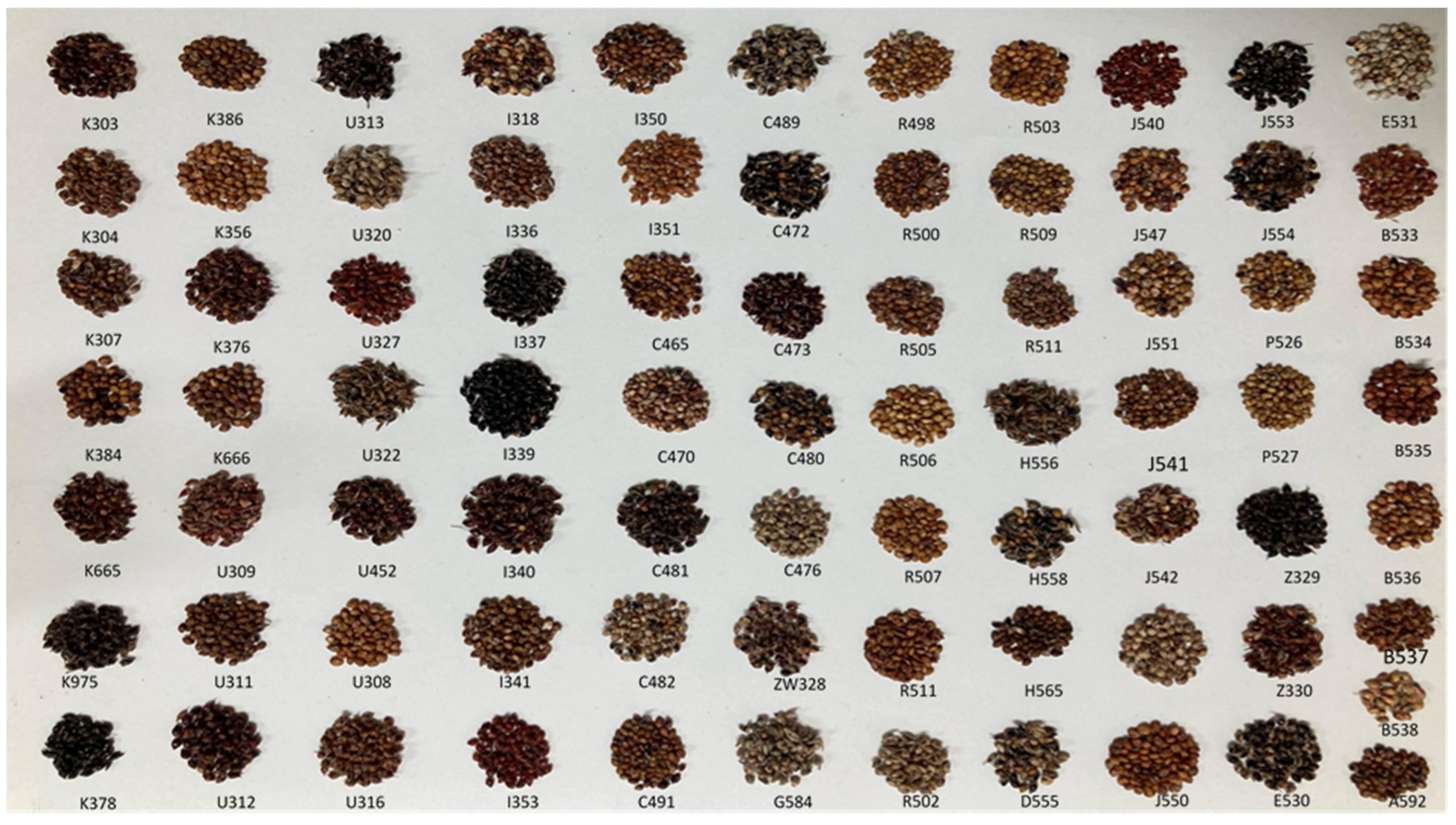 Molecules 26 03964 g001 Molecules 26 03964 g001