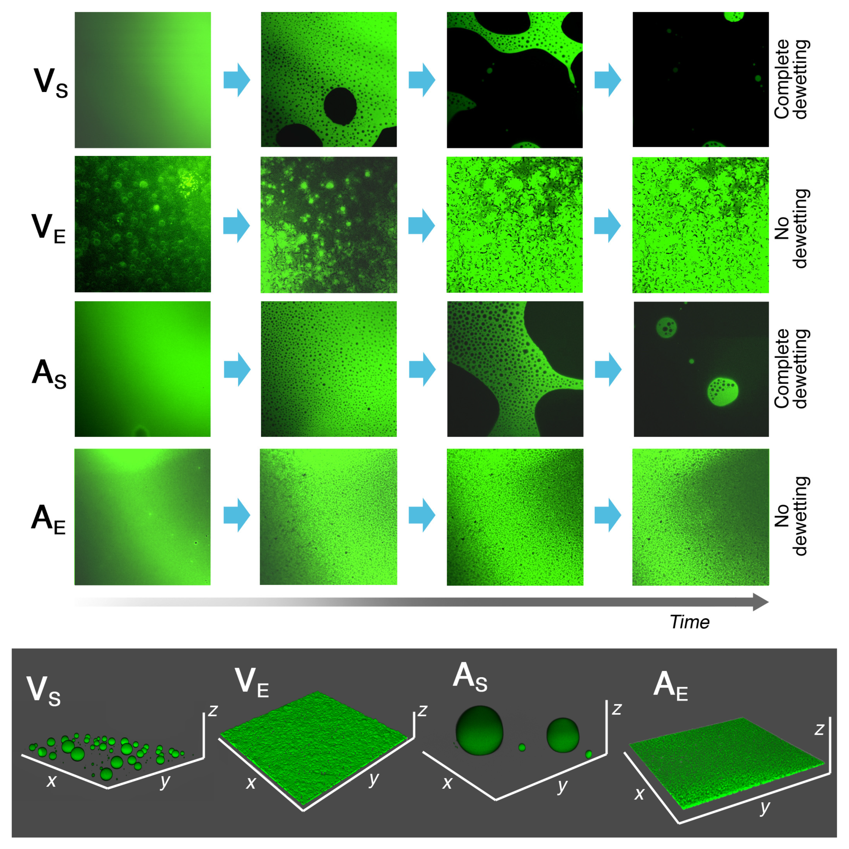 Molecules 26 03967 g001 Molecules 26 03967 g001