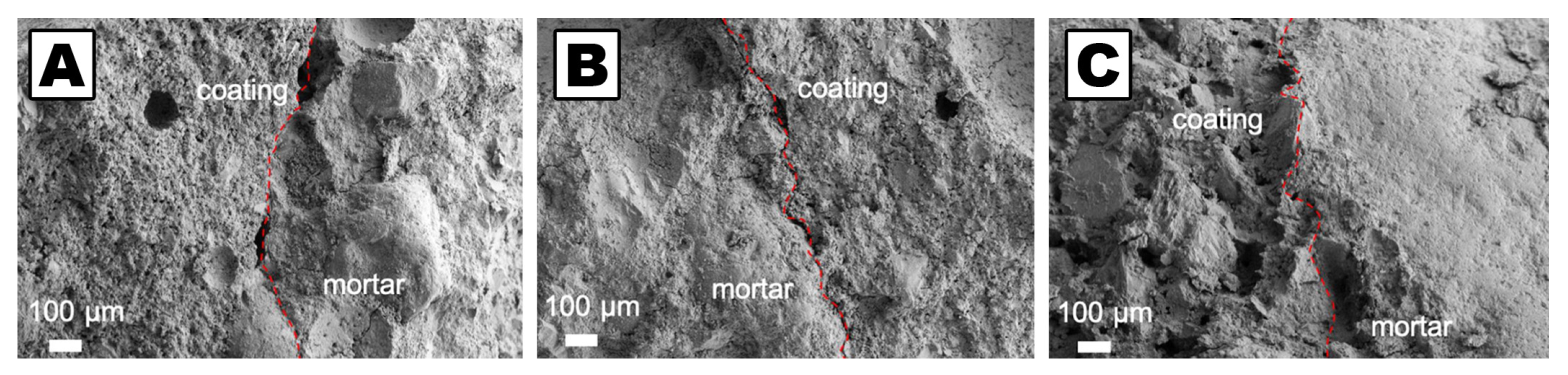 Molecules 26 03967 g006 Molecules 26 03967 g006