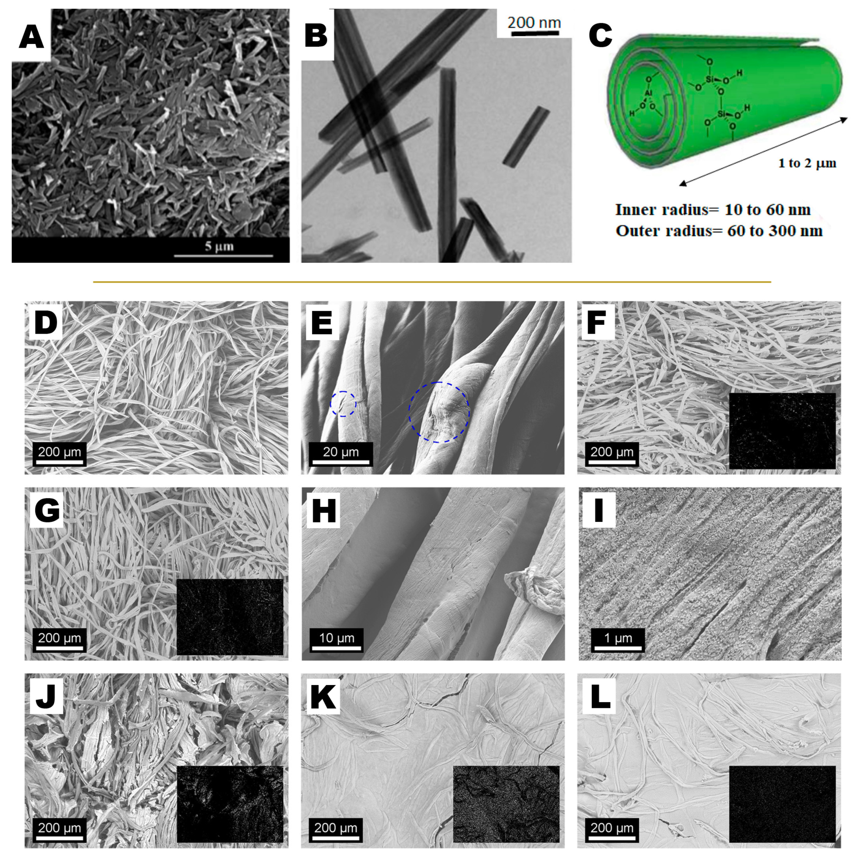 Molecules 26 03967 g007 Molecules 26 03967 g007