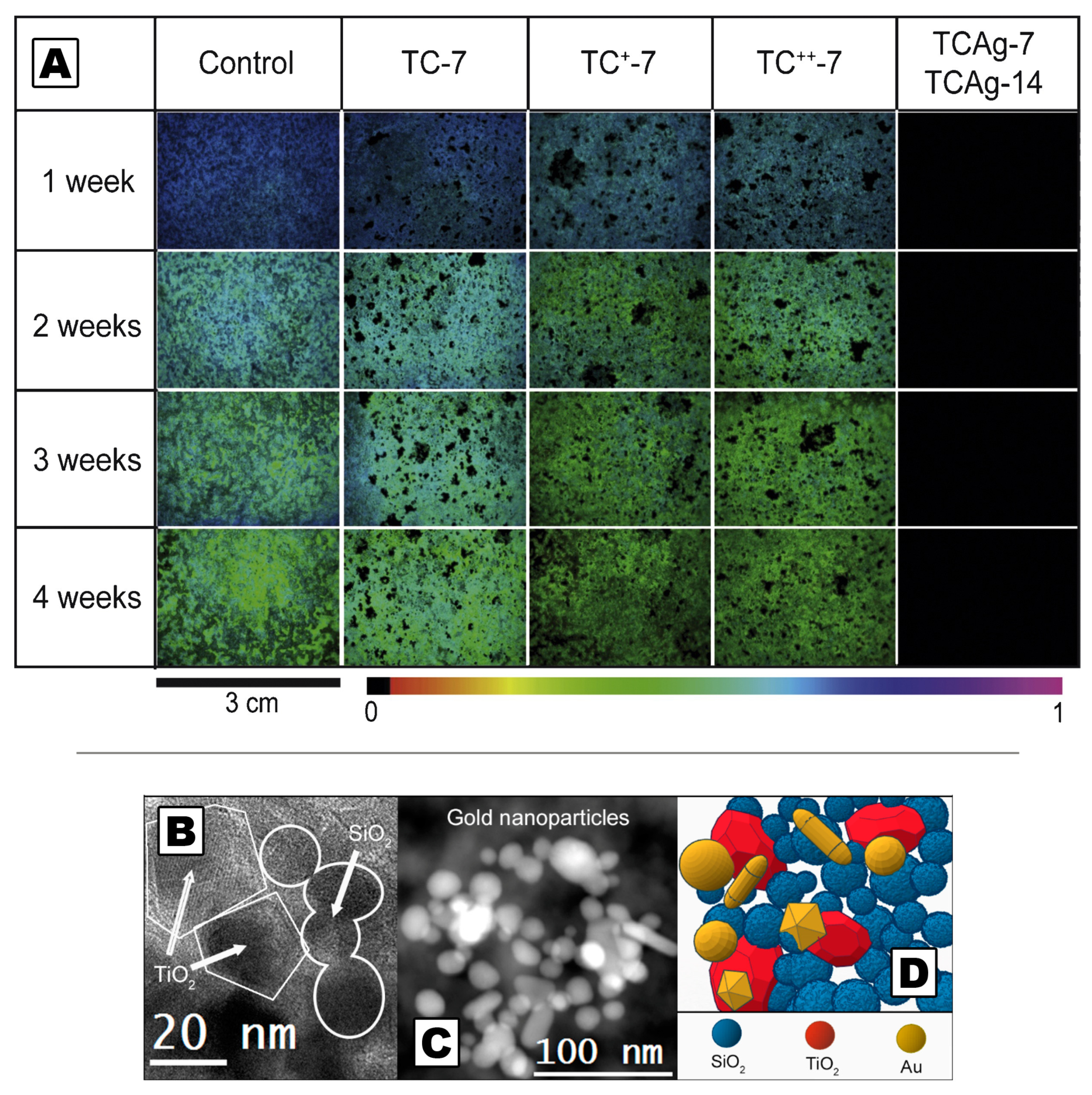 Molecules 26 03967 g008 Molecules 26 03967 g008