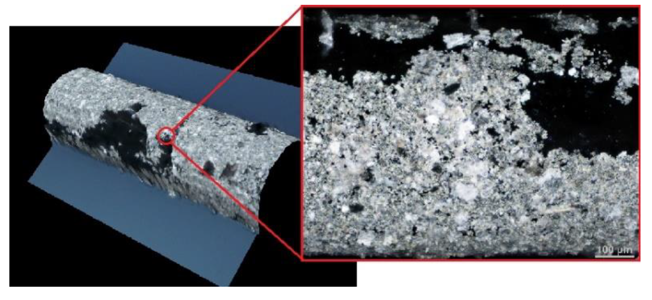 Molecules 26 03972 g011 550