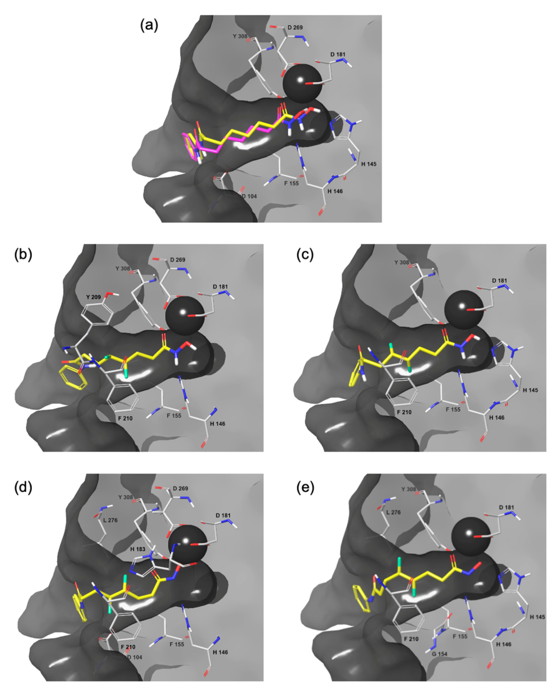 Molecules 26 03974 g004