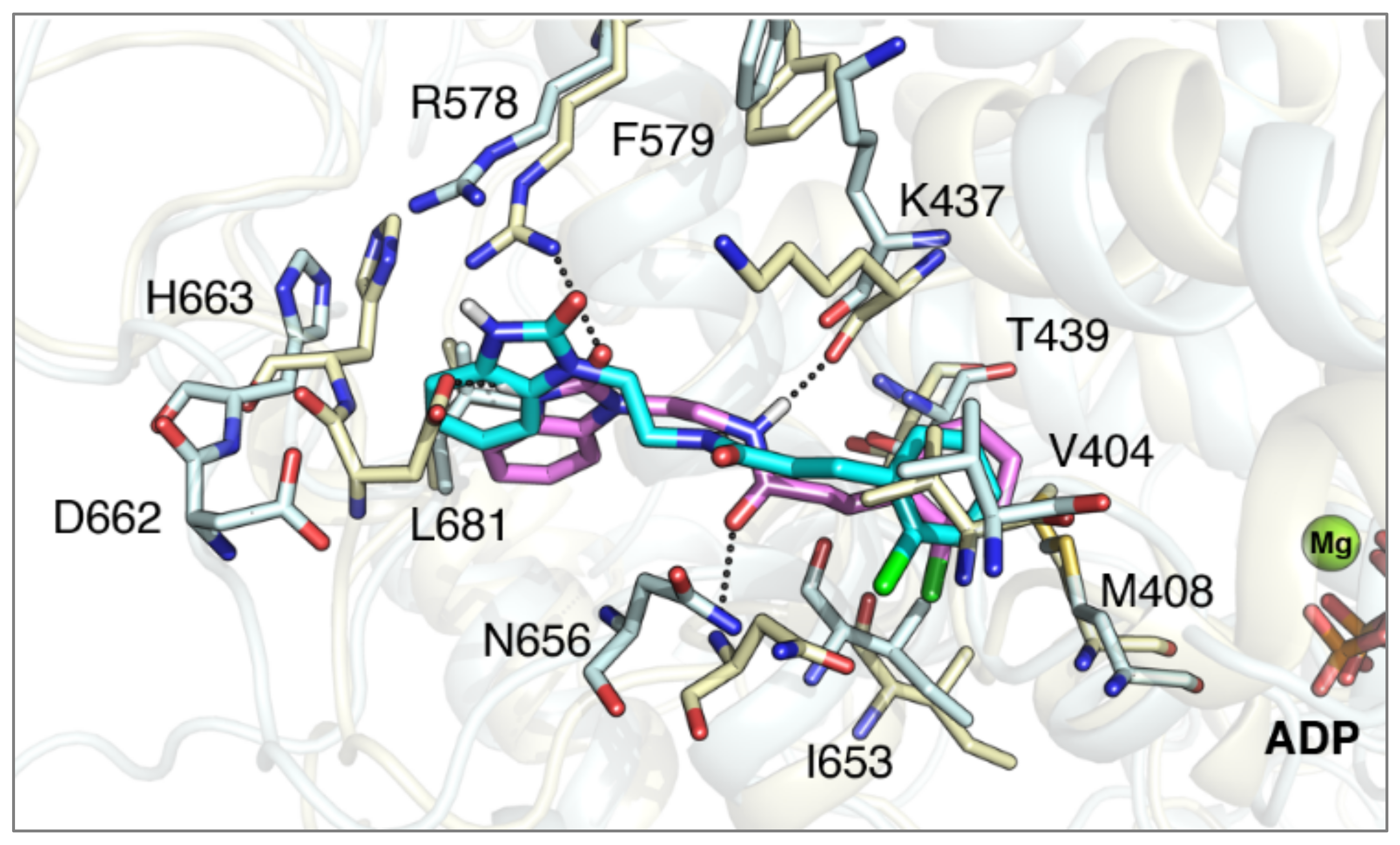 Molecules 26 03975 g008 550