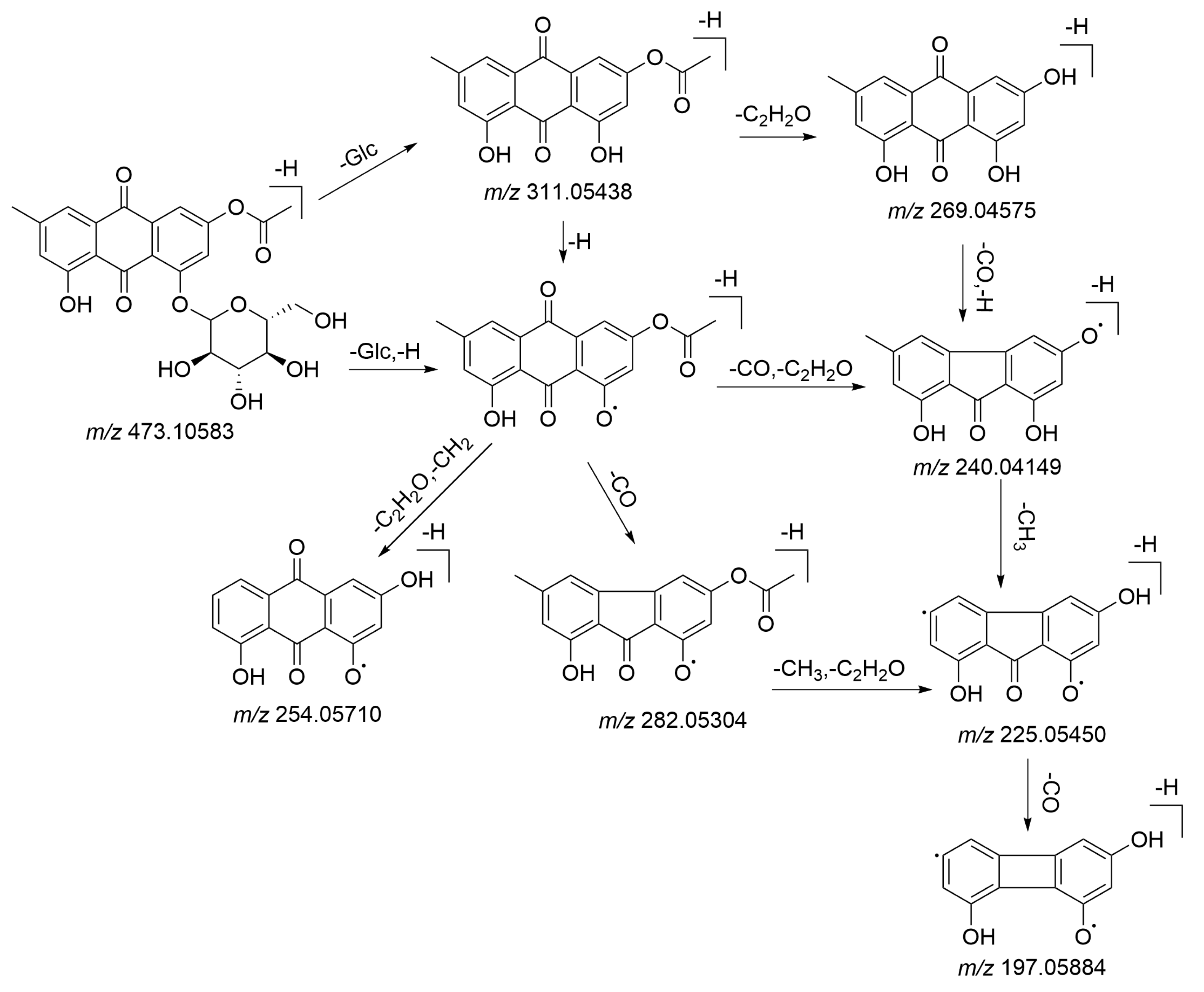 Molecules 26 03977 g004