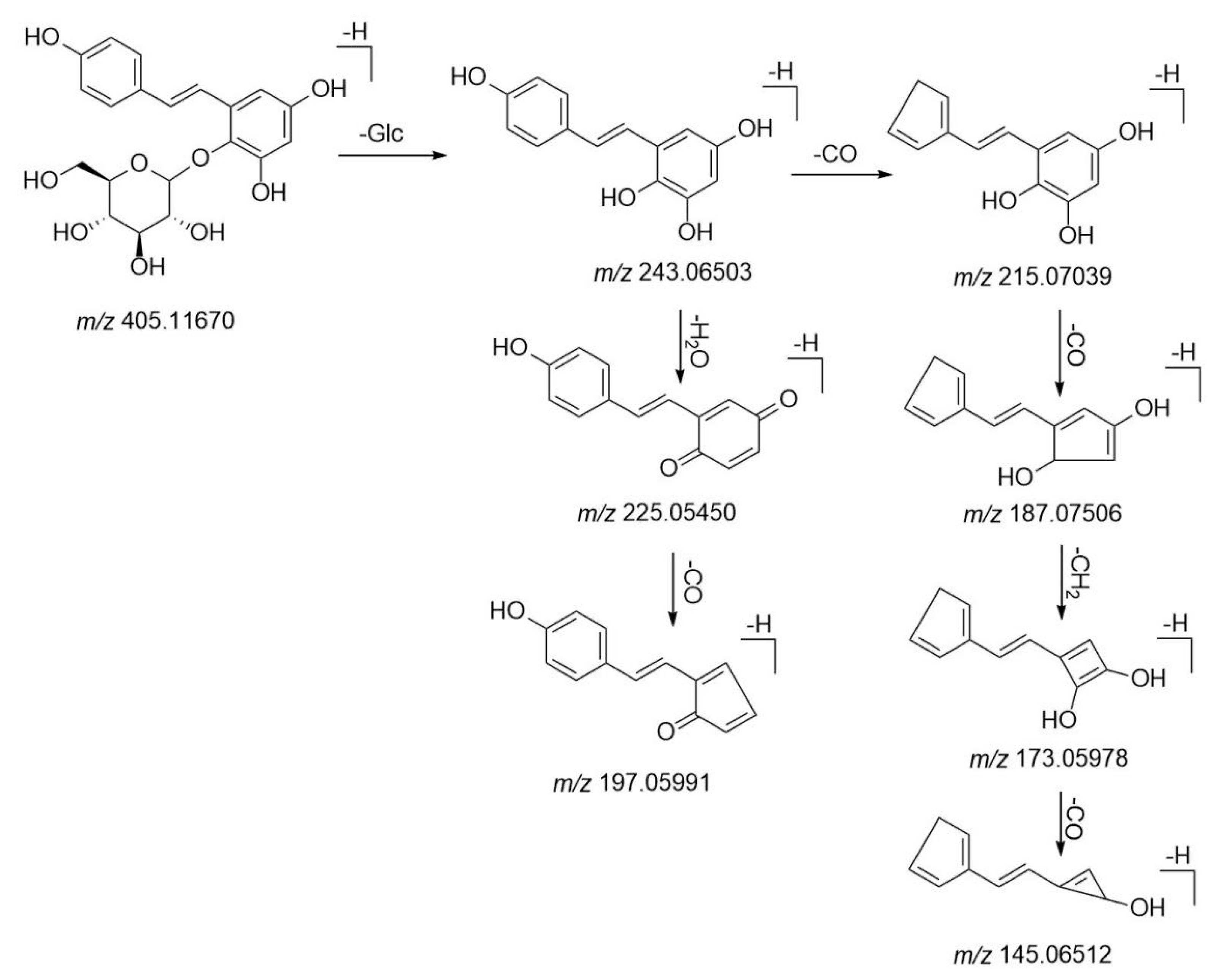 Molecules 26 03977 g006