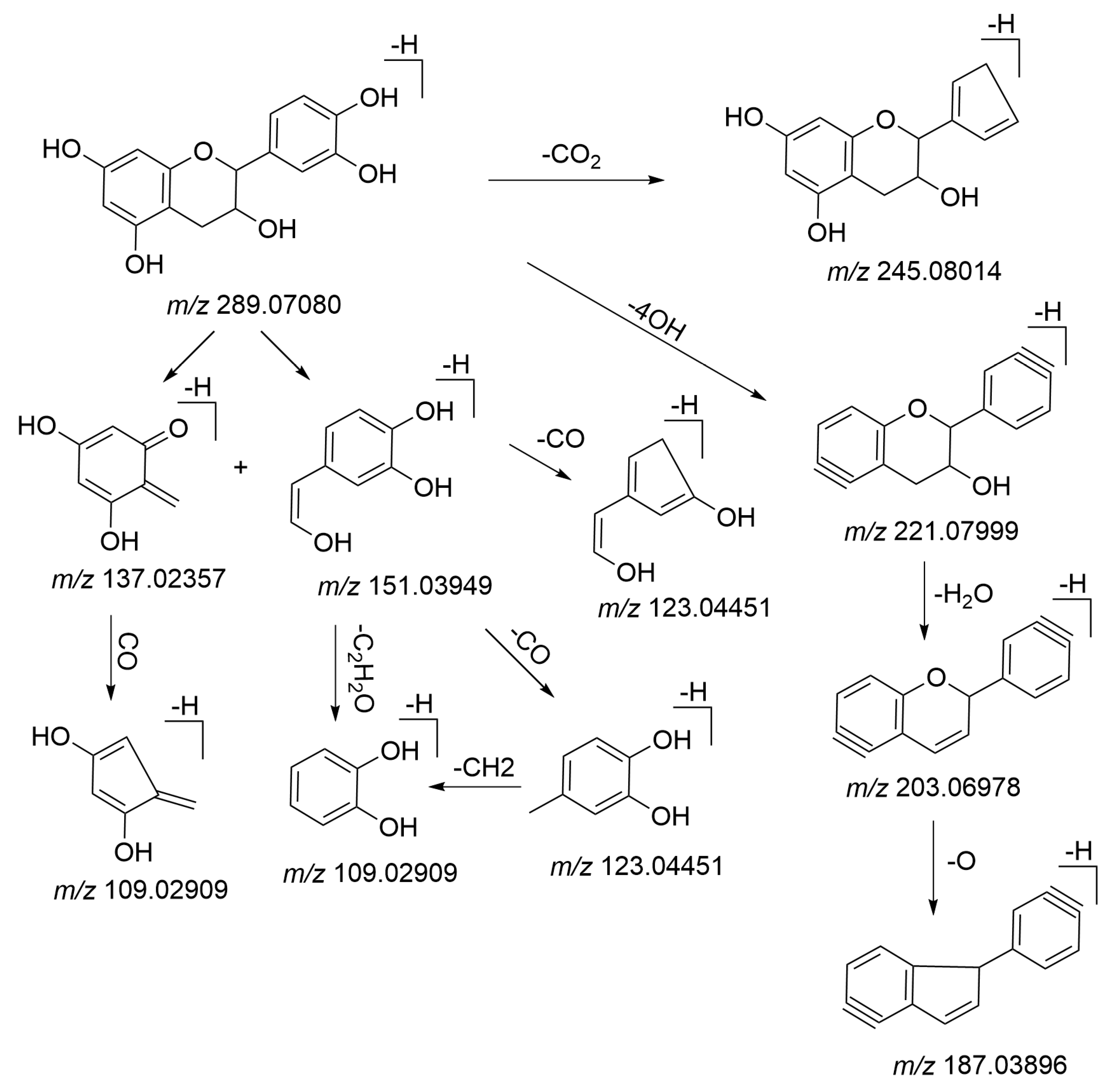 Molecules 26 03977 g008