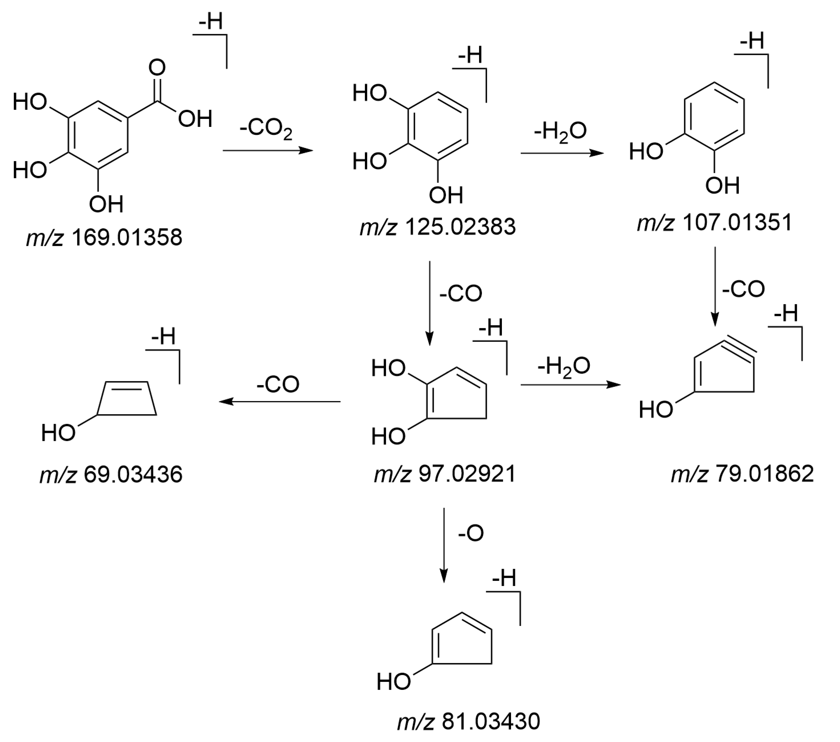 Molecules 26 03977 g010