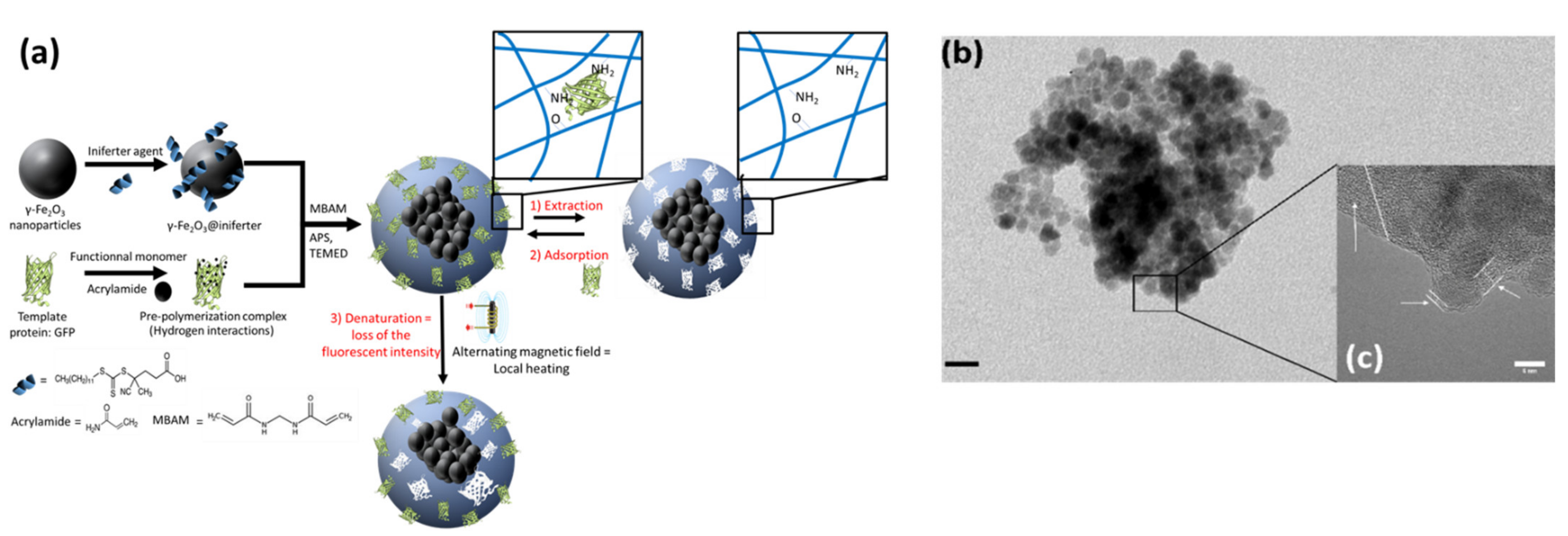 Molecules 26 03980 g001 550