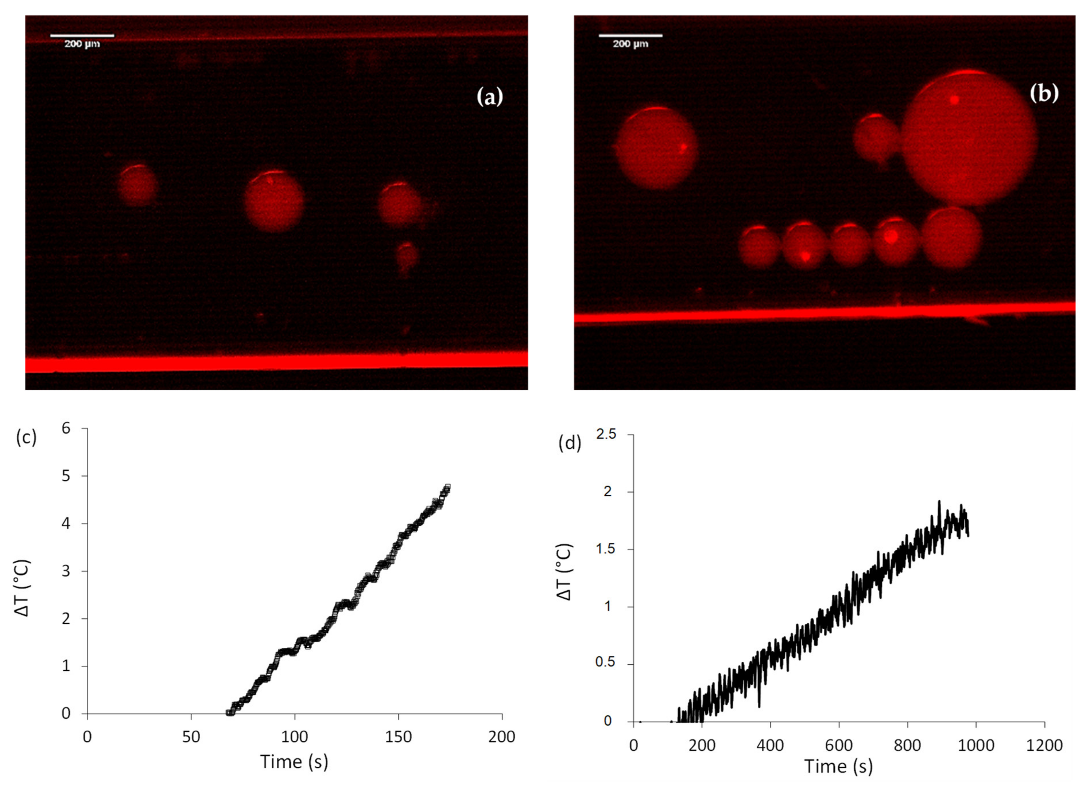 Molecules 26 03980 g003 550