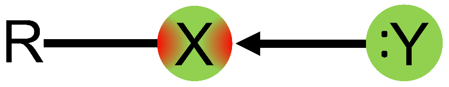 Molecules 26 03982 g001